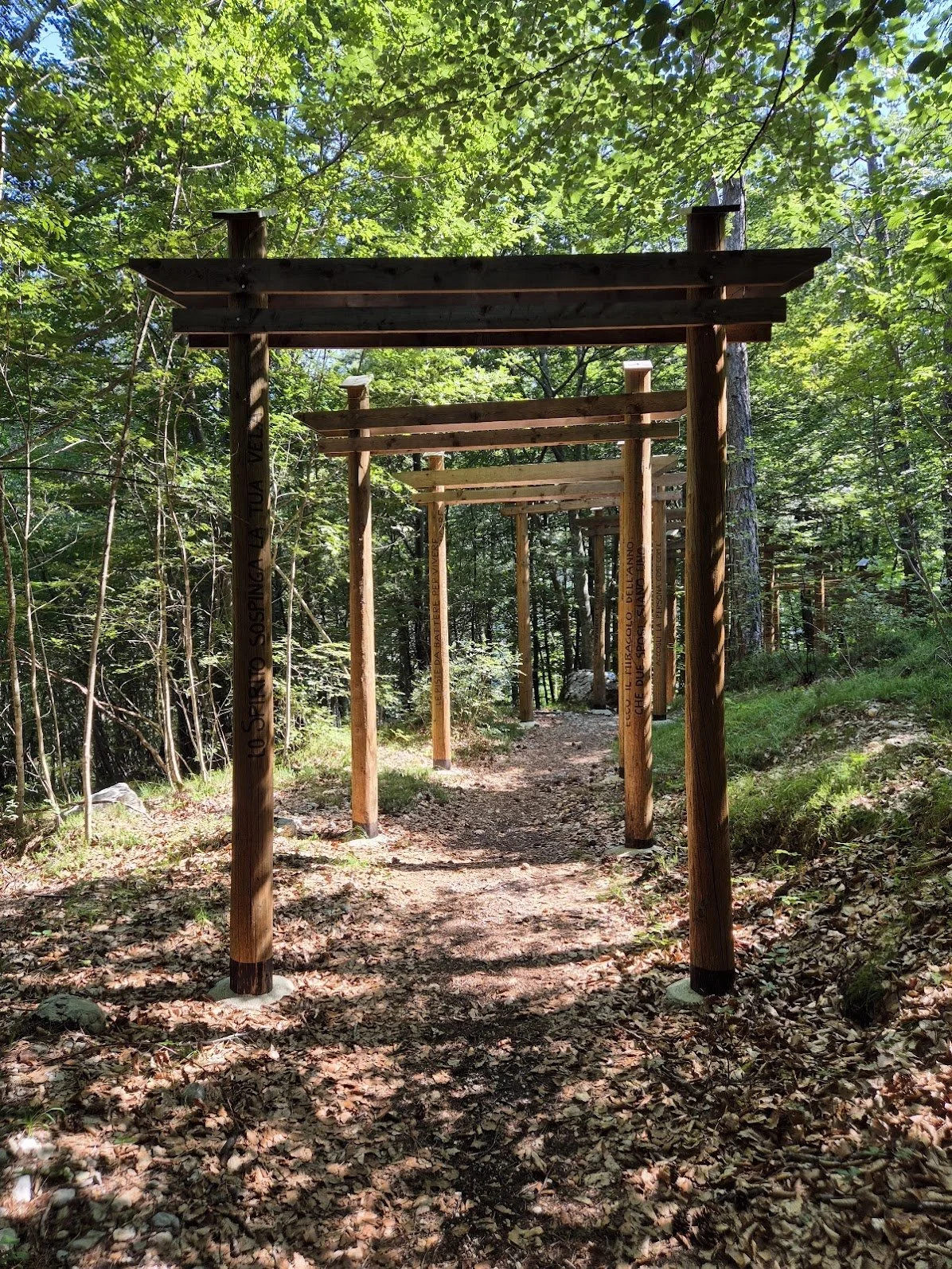 20250811_112250 (1).jpg