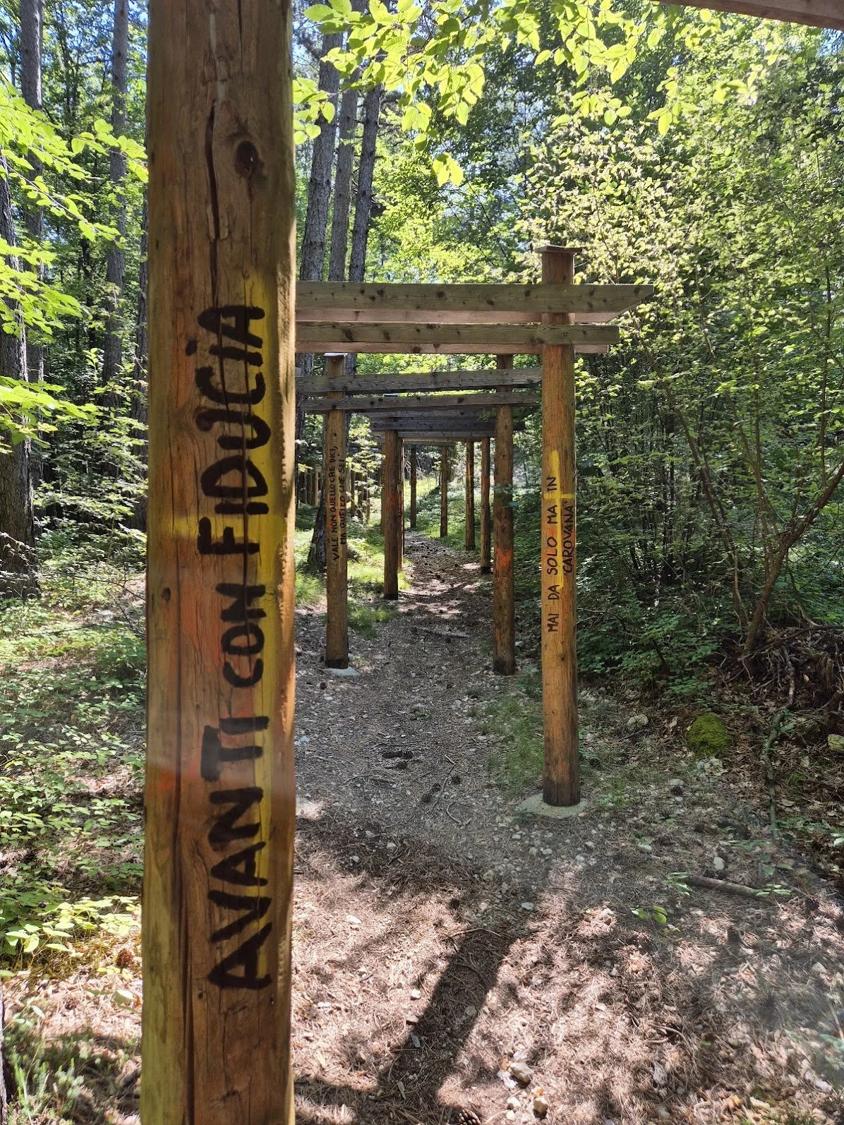 A series of wooden arches along a forest trail with green trees and sunlight in the background. Some poles have yellow sections with black writing in Portuguese.
