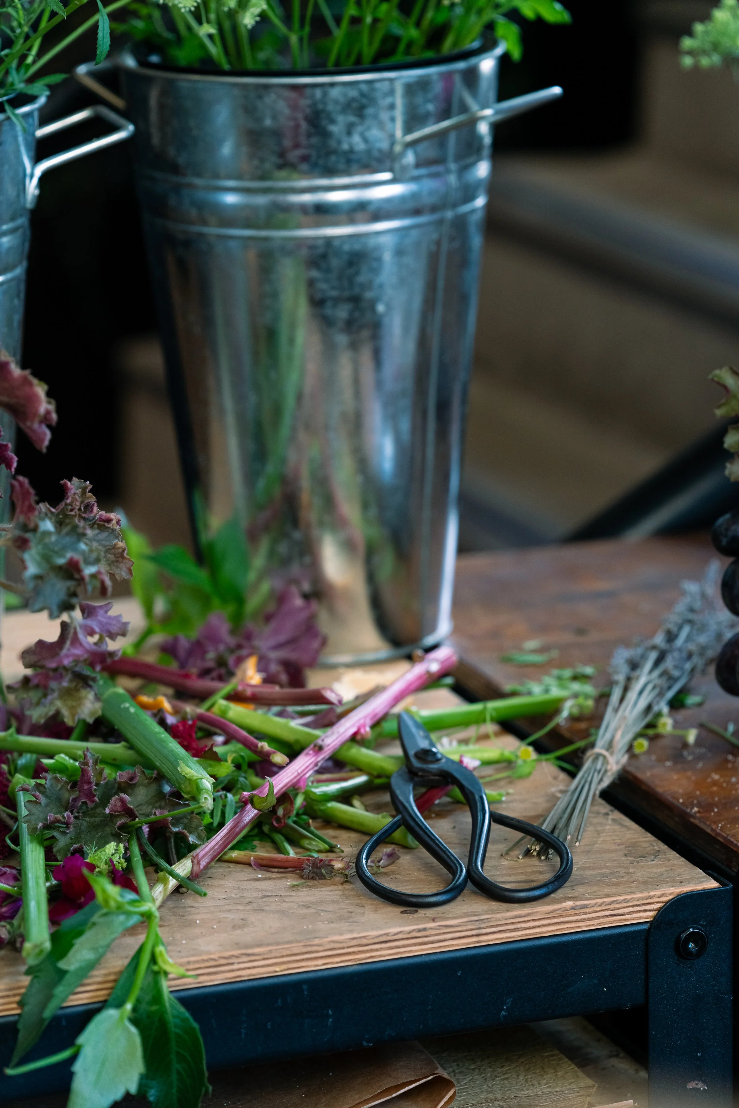 Buckets and scissors sit on the bench with floral off cuts and stals ready for composting. Photo By Trish Evans Photography