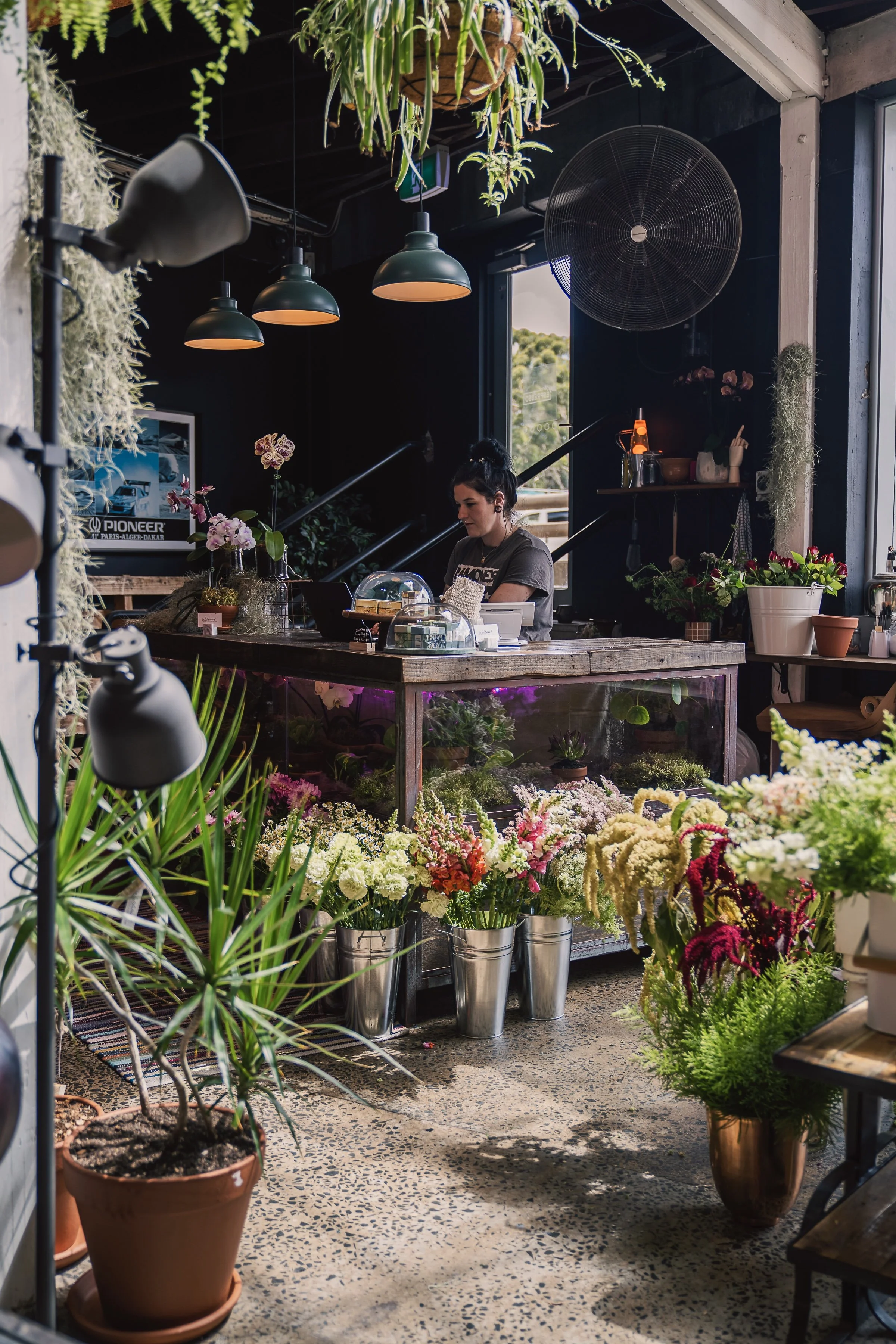 Wyldwood Fit-Out: A Sustainable Shop Design Story 