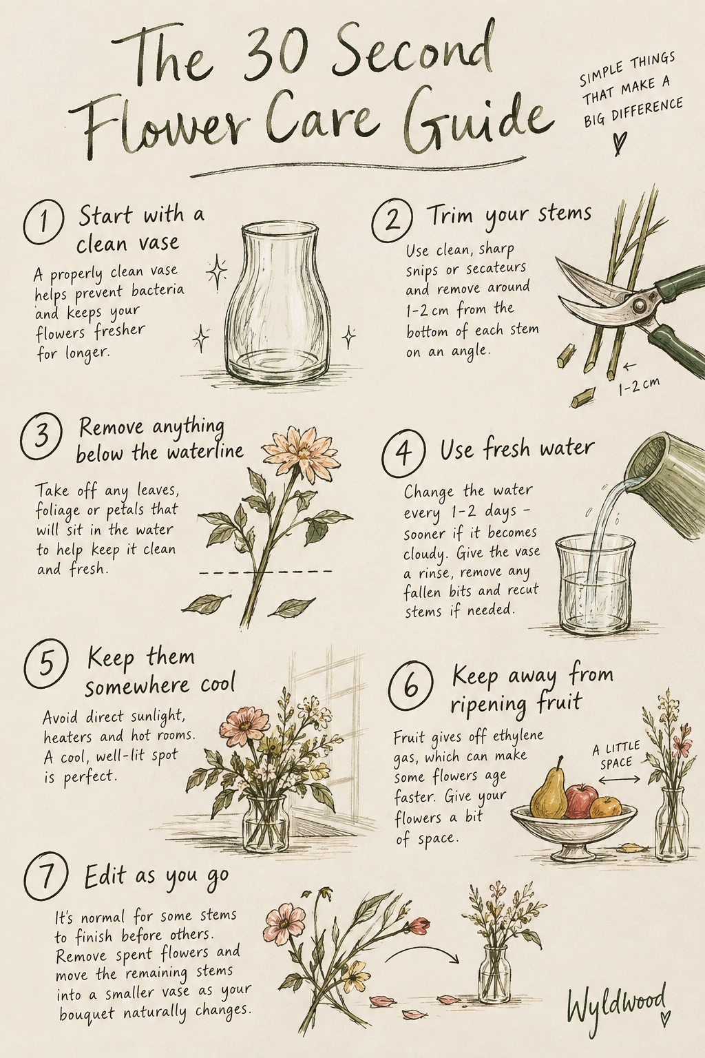 How to Make Cut Flowers Last Longer: The Wyldwood Guide to Cut Flower Care