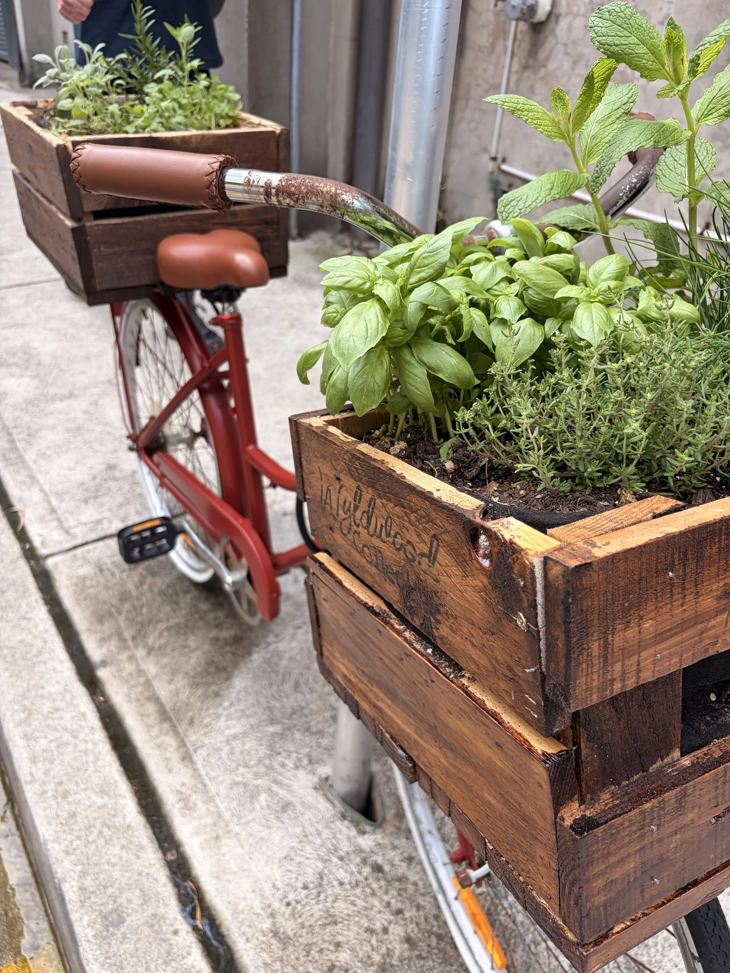 wyldwood-bicycle-herb-planter-reclaimed-timber-closeup.jpg