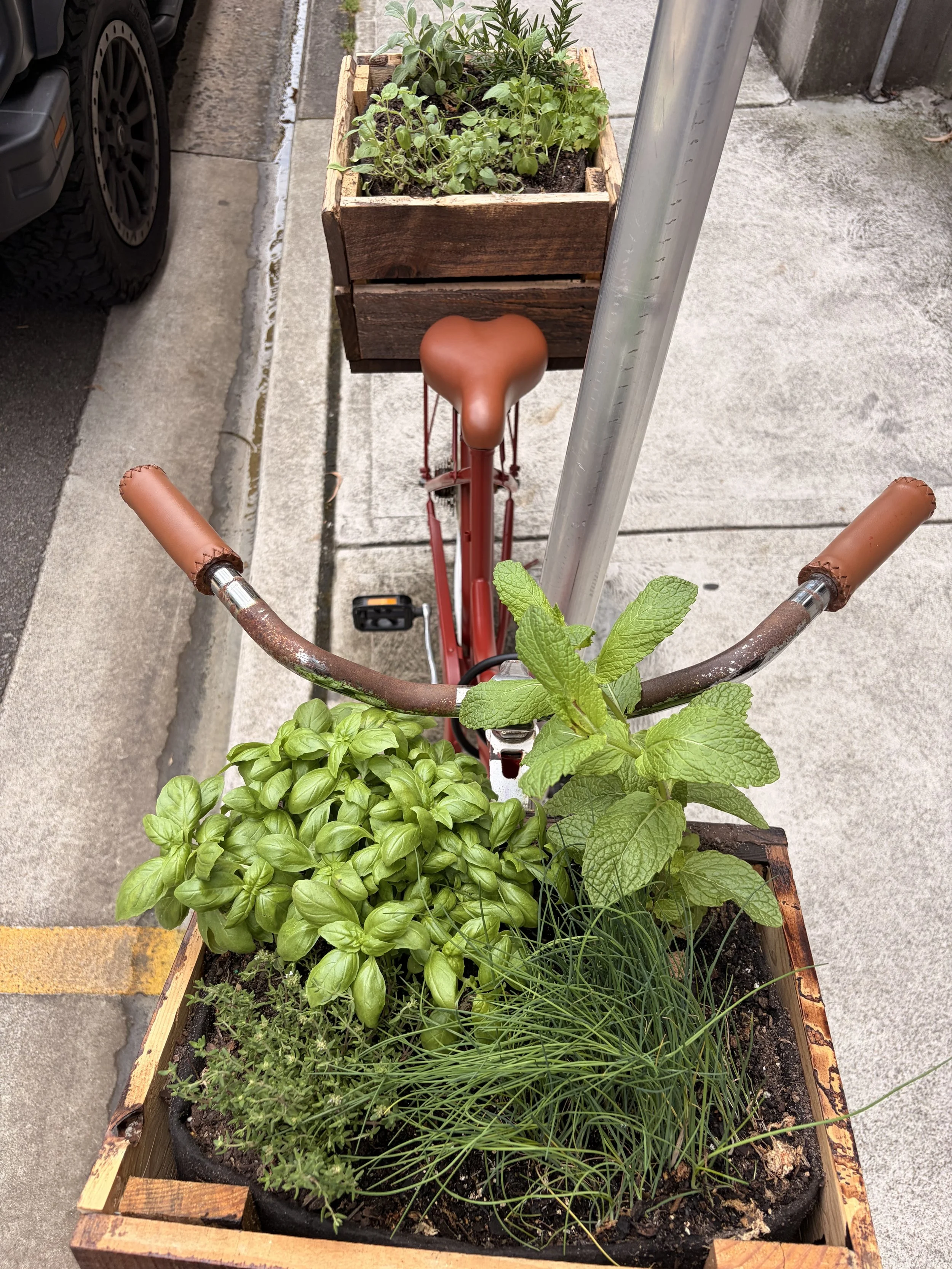wyldwood-bicycle-herb-garden-basil-mint-chives-thyme.jpg