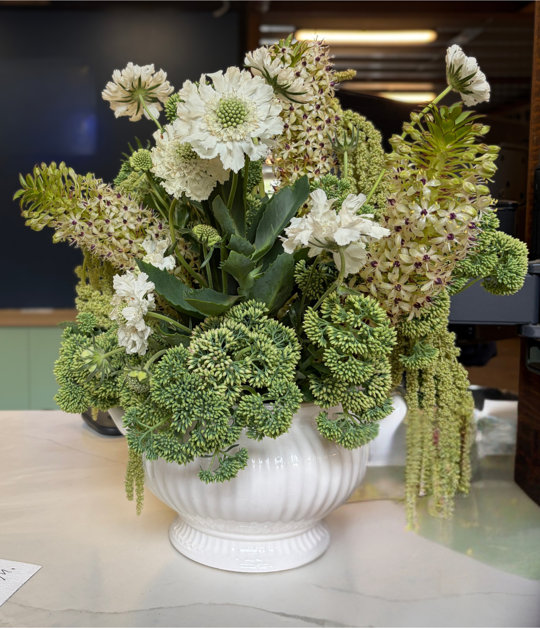 Untitled design (1).png