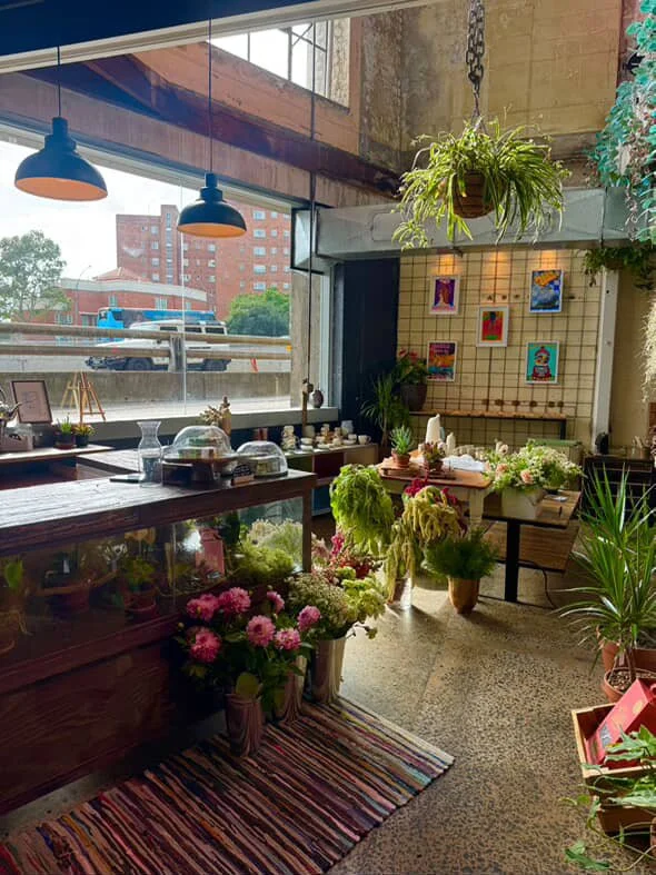 ustainable florist shop fit-out at Wyldwood Collective in Kirribilli, Sydney