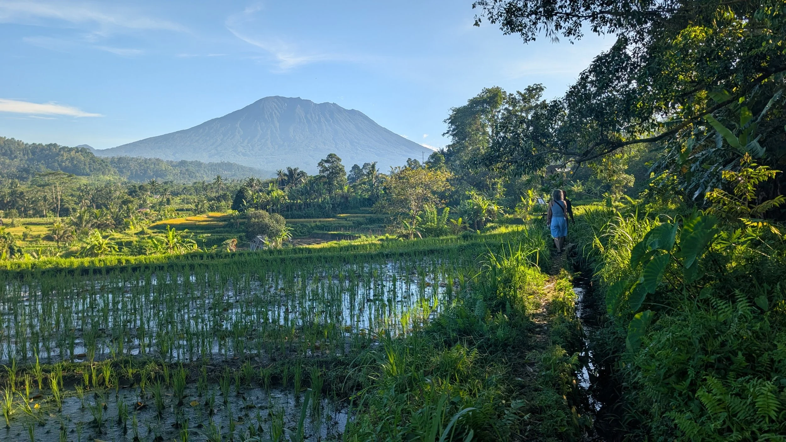 Best Time to Visit Bali: Month-by-Month Weather, Festivals and Crowds