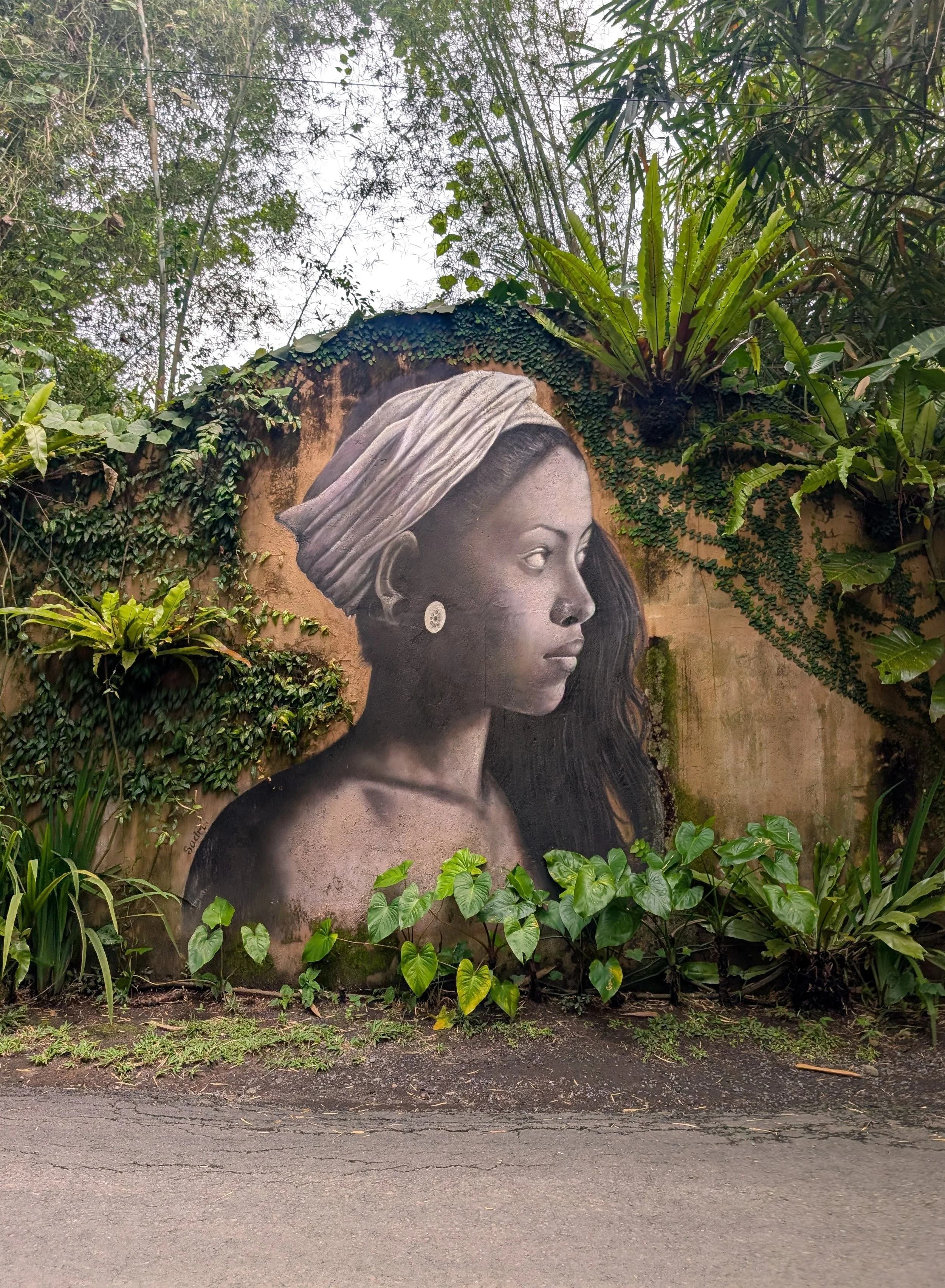 Street mural of a woman's portrait on a wall with greenery, including tropical plants and flowers surrounding it.