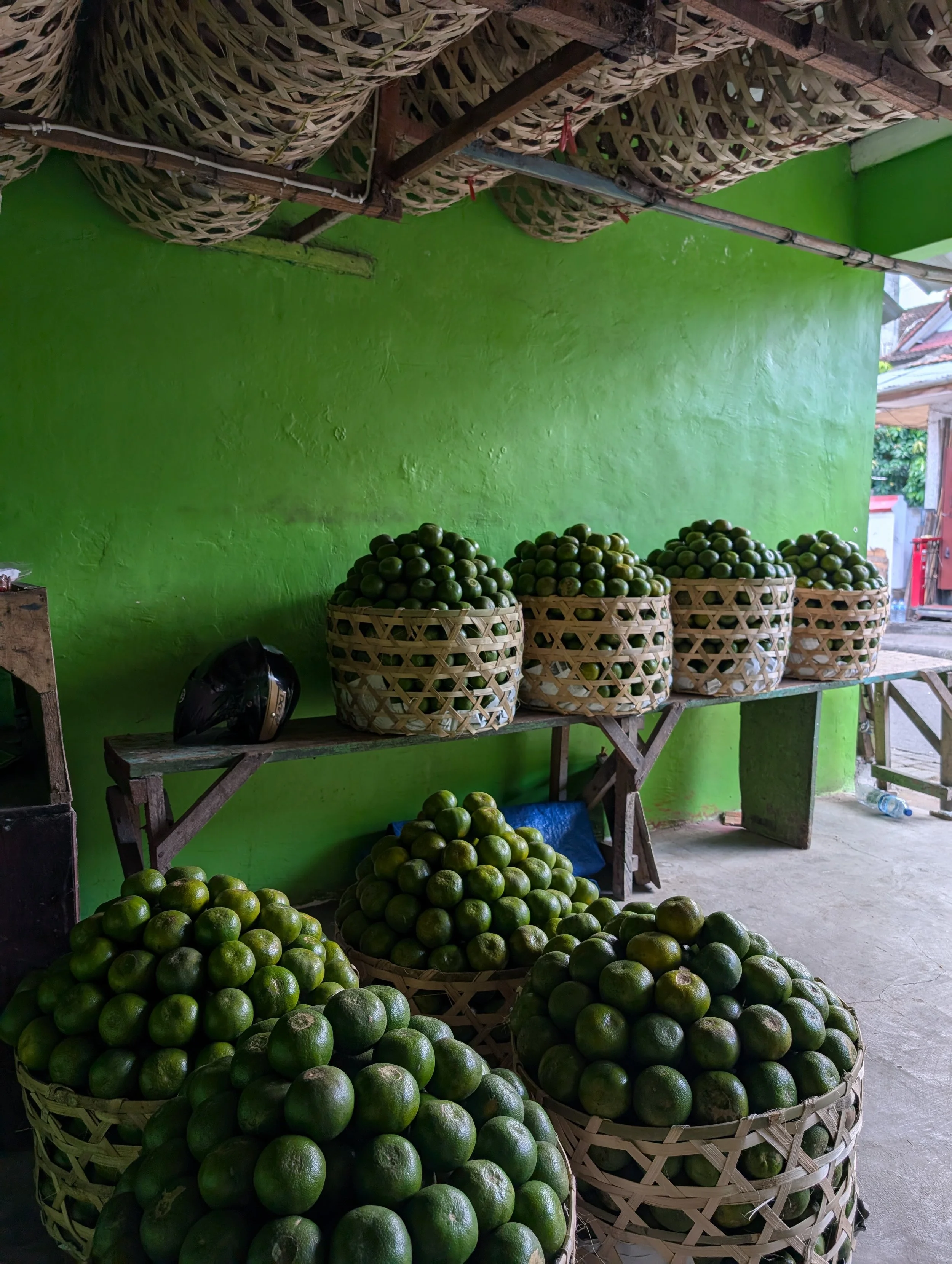 Lime dreams Bali.jpg