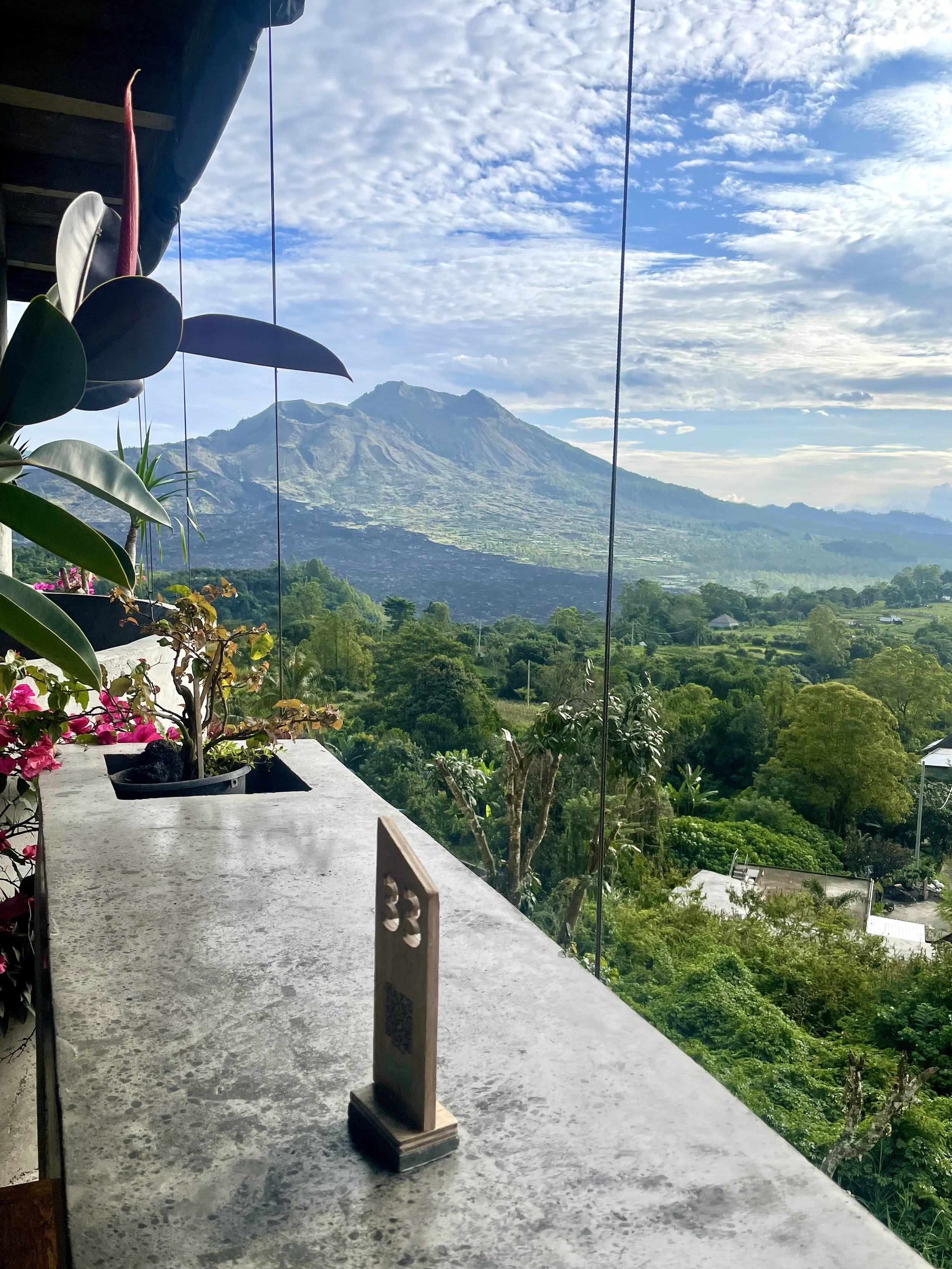 View of a mountain with a rural landscape and blue sky with clouds, as seen from a balcony with potted plants and a table.