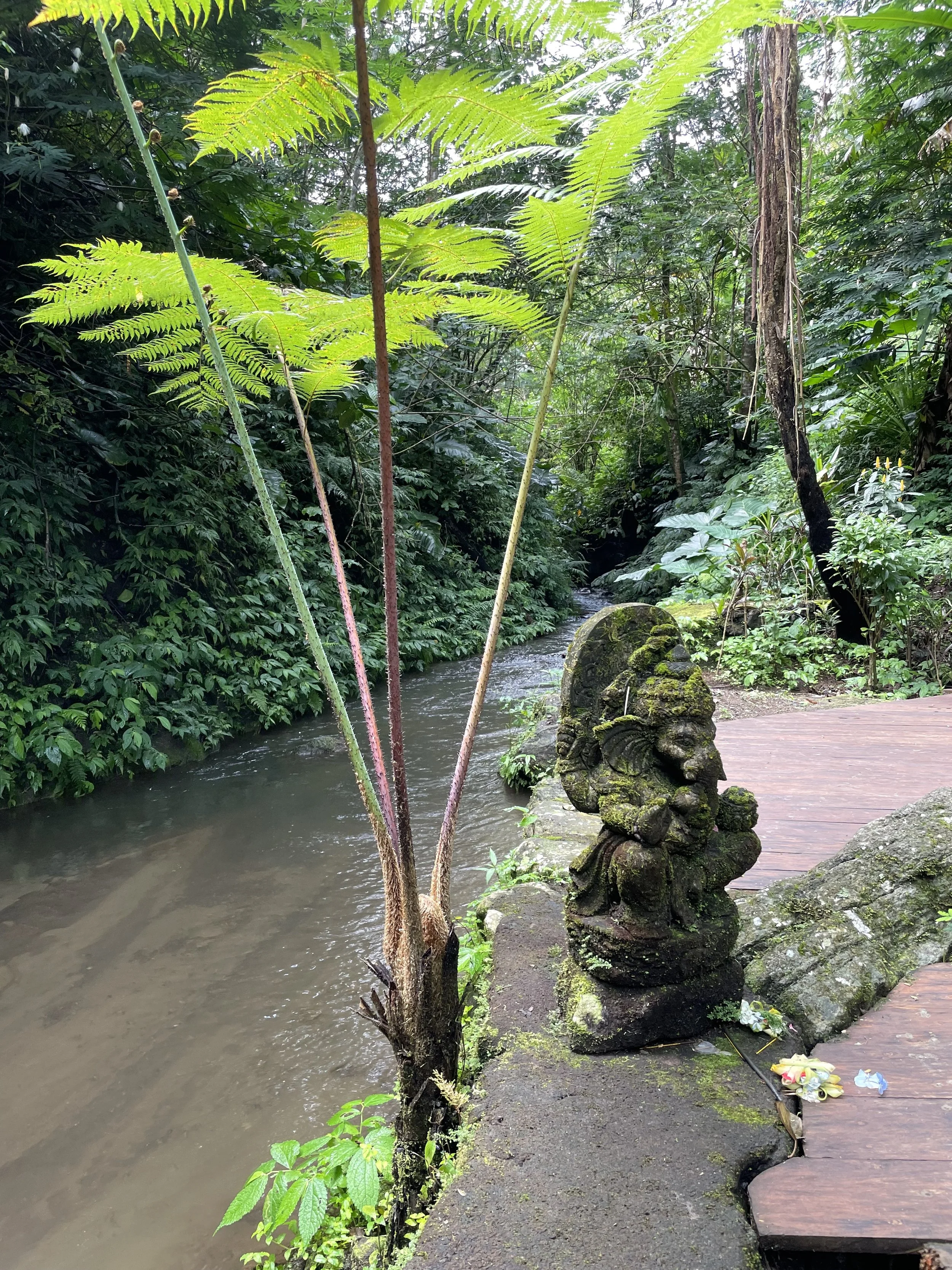 A moss-covered stone statue resembling a mythical figure or deity located near a small wooden pathway beside a narrow, flowing river surrounded by lush green tropical plants and trees.