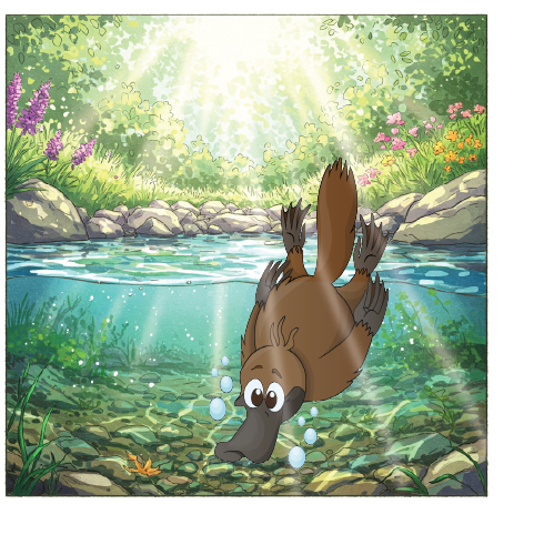 Platypus card image in stream.png