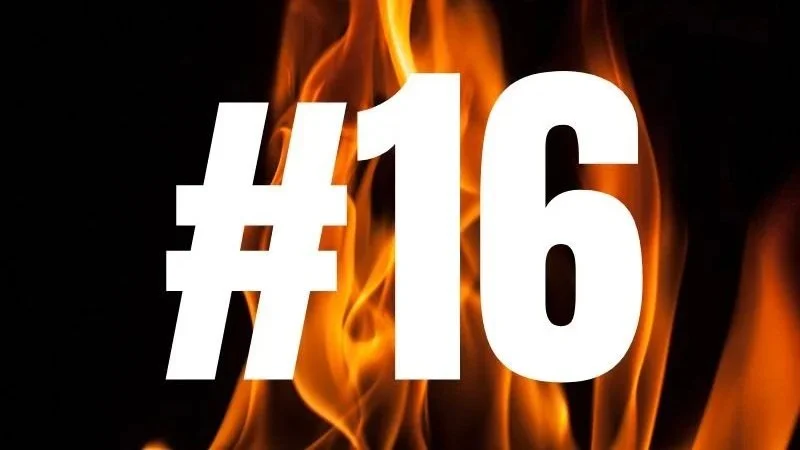 Do Kiln-Dried Hardwood Logs Burn Better Than Softwood?