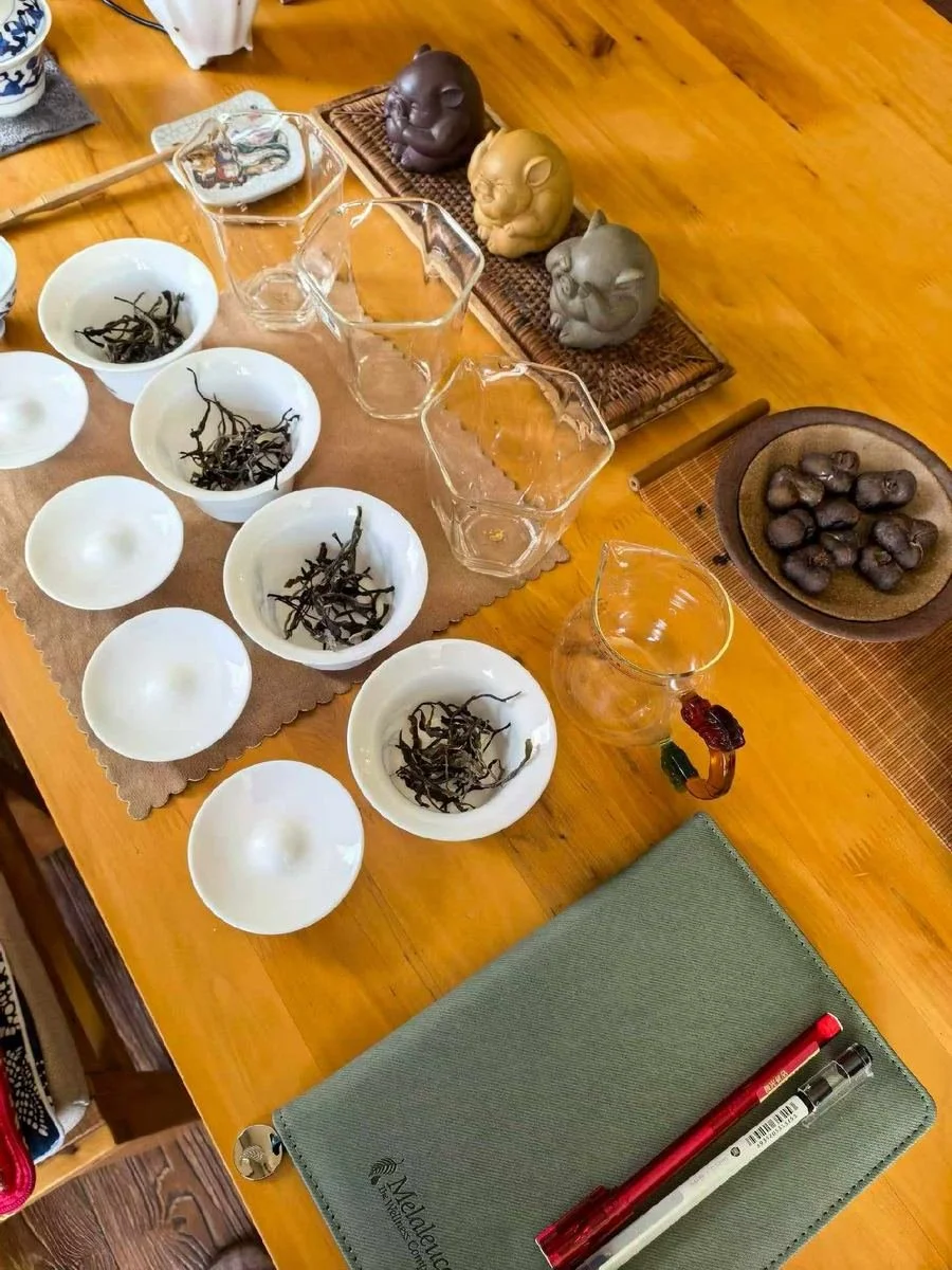 审评茶杯中的干茶 / Dry leaf in tasting cups