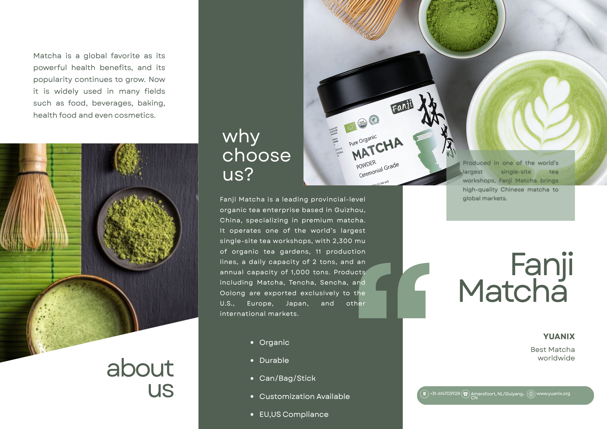 A marketing brochure for Fanji Matcha featuring images of green matcha tea, a canister of organic matcha powder, and traditional bamboo utensils used for preparing matcha. The brochure highlights the health benefits and exports of the brand.