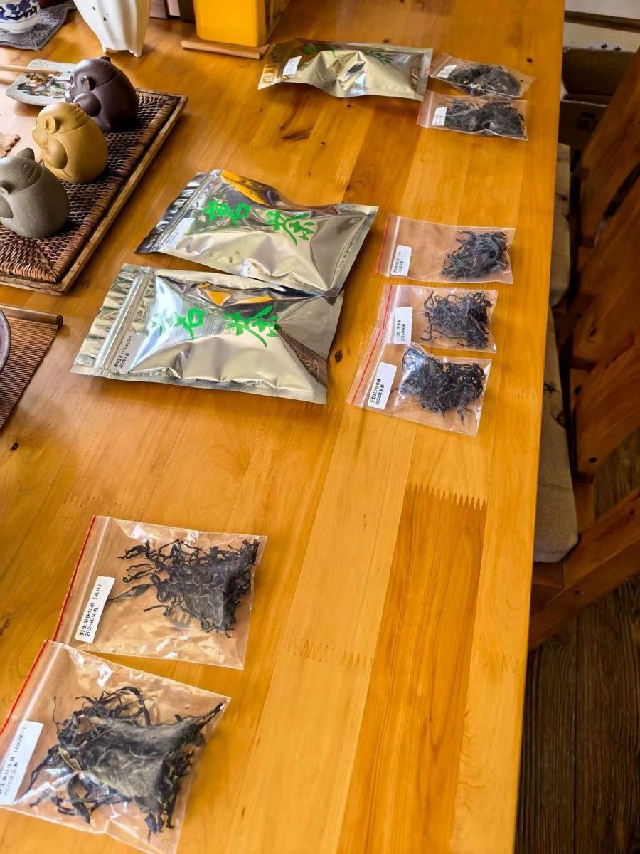 贵州茶样 / Guizhou tea samples on a tasting table