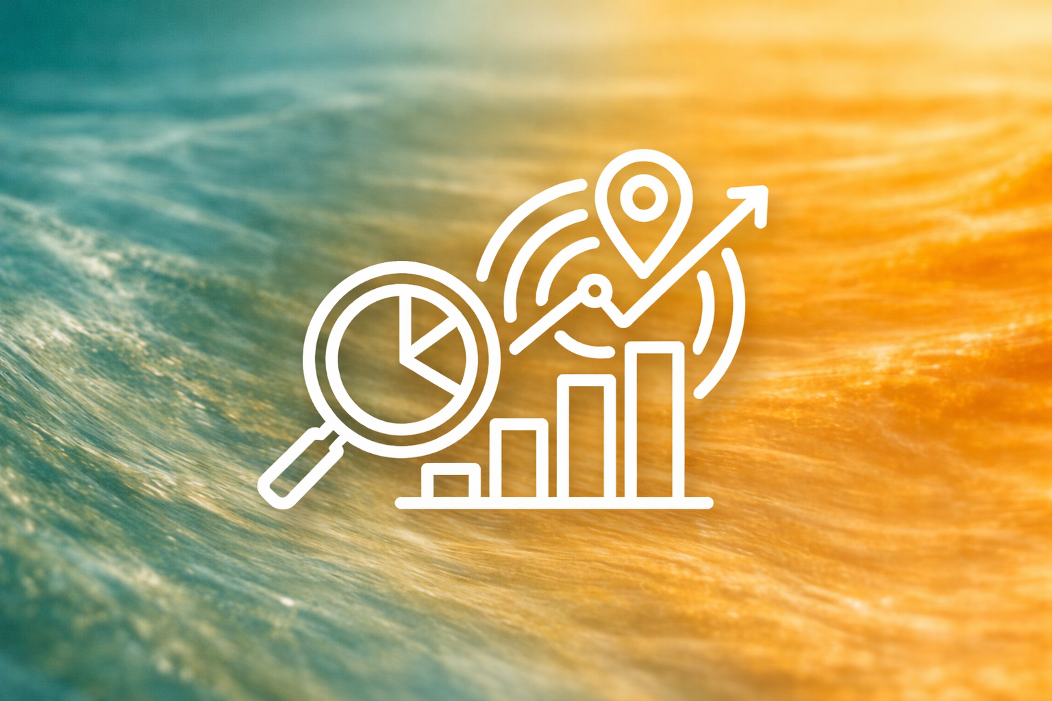 Module 1 — Market Entry & Positioning 市场评估与战略落地