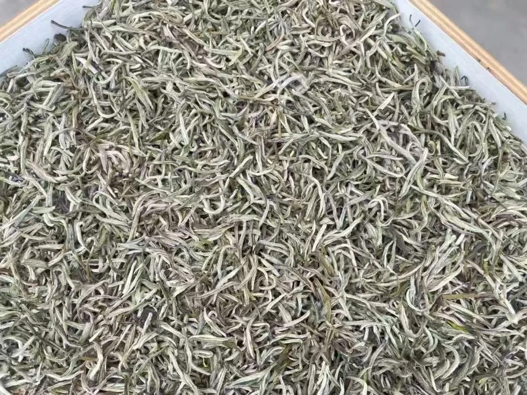 满披白毫的细嫩茶芽 / Fine downy tea buds