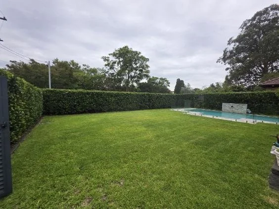 Wahroonga Hedge Trimming
