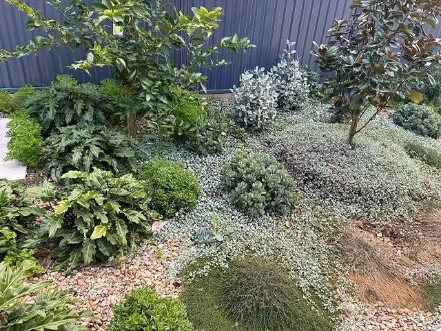 Garden Landscaped with Succulents