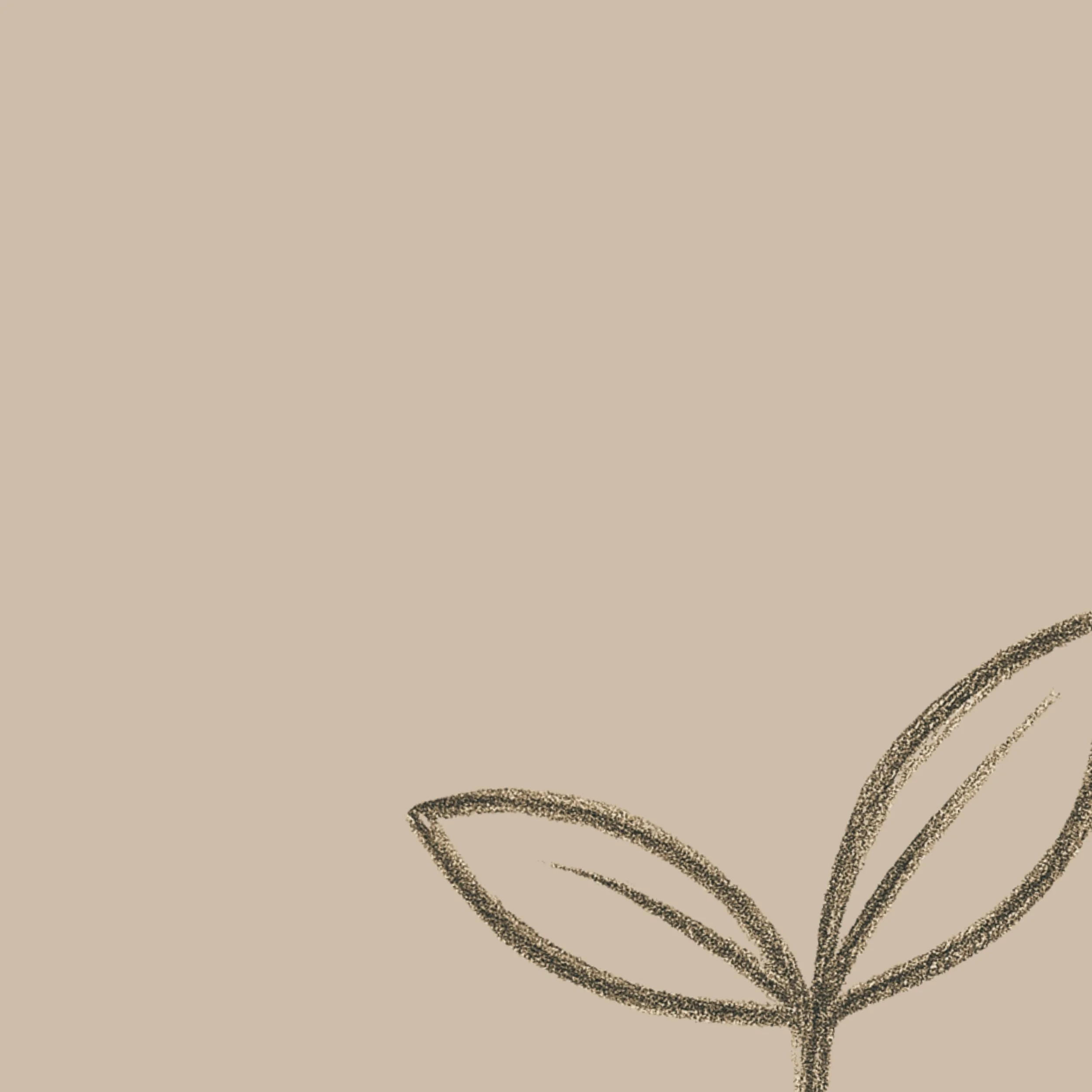 Bean Prix line sprout.
