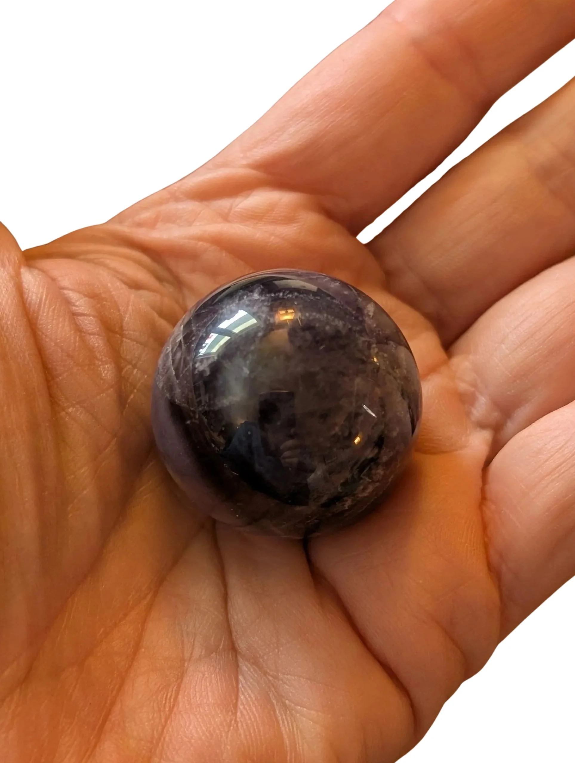 Studio-Project - 2026-01-12T125918.823.jpg