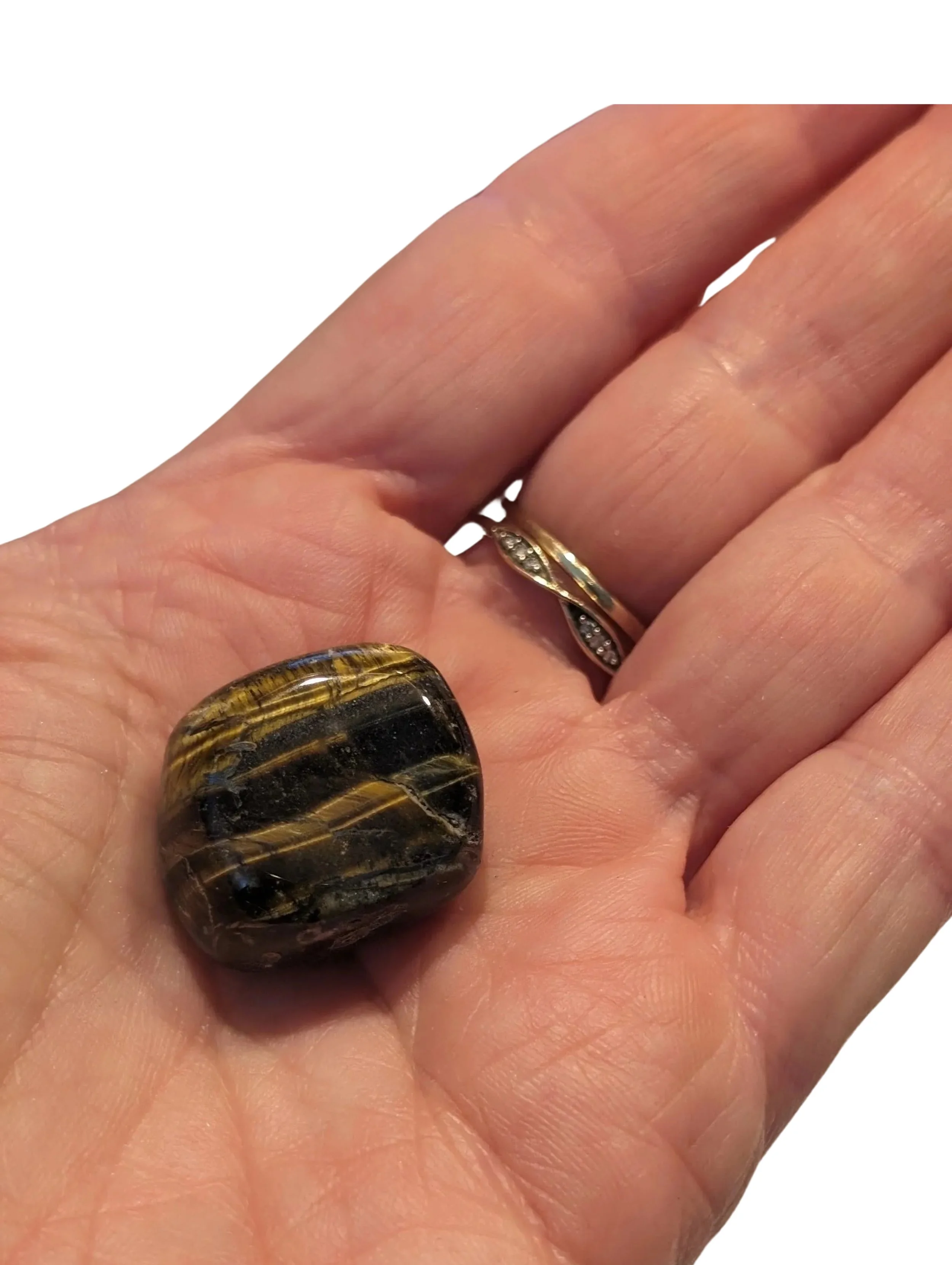 Studio-Project - 2025-12-10T112320.657.jpg