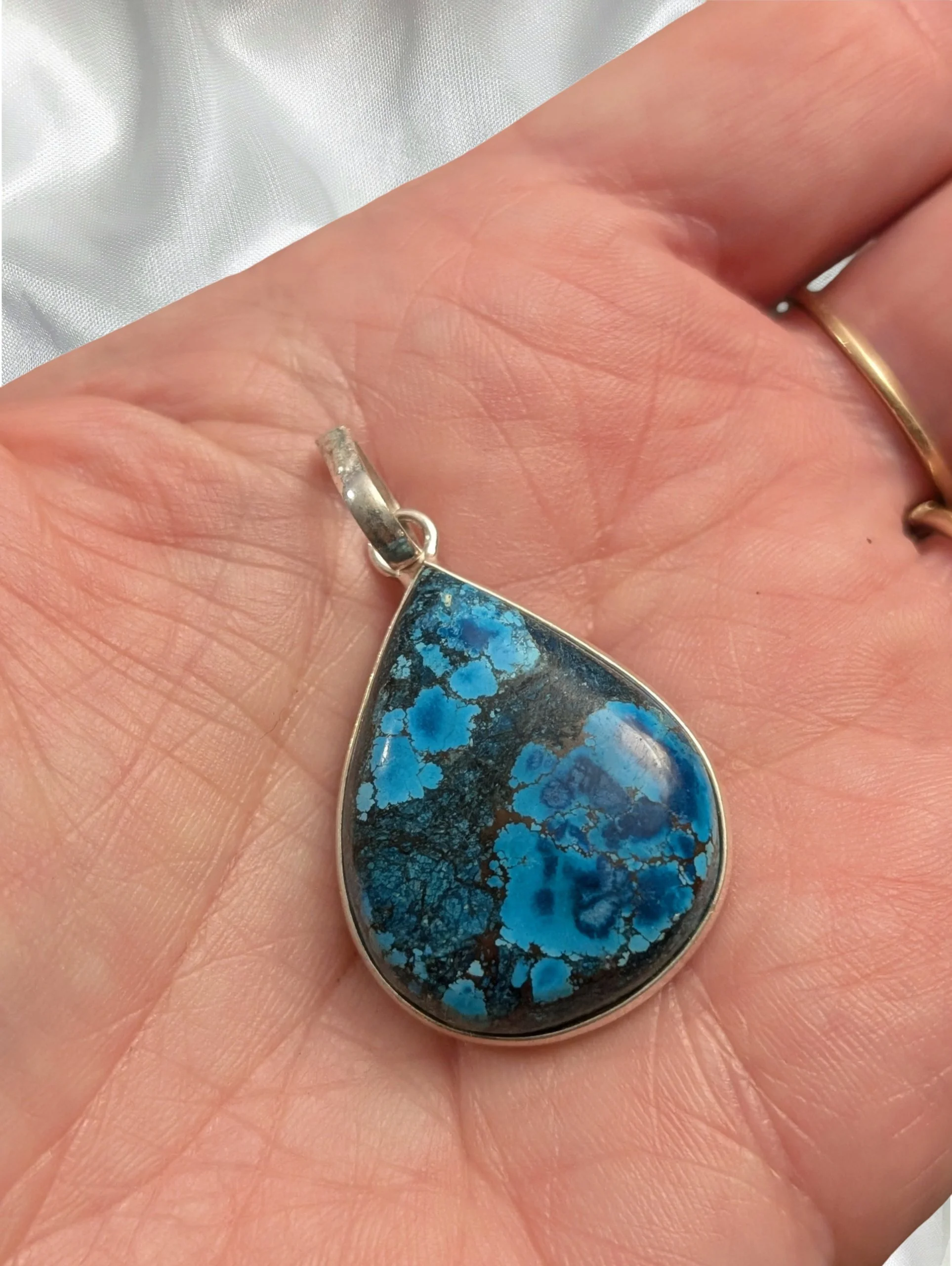 Studio-Project - 2026-02-19T140155.869.jpg