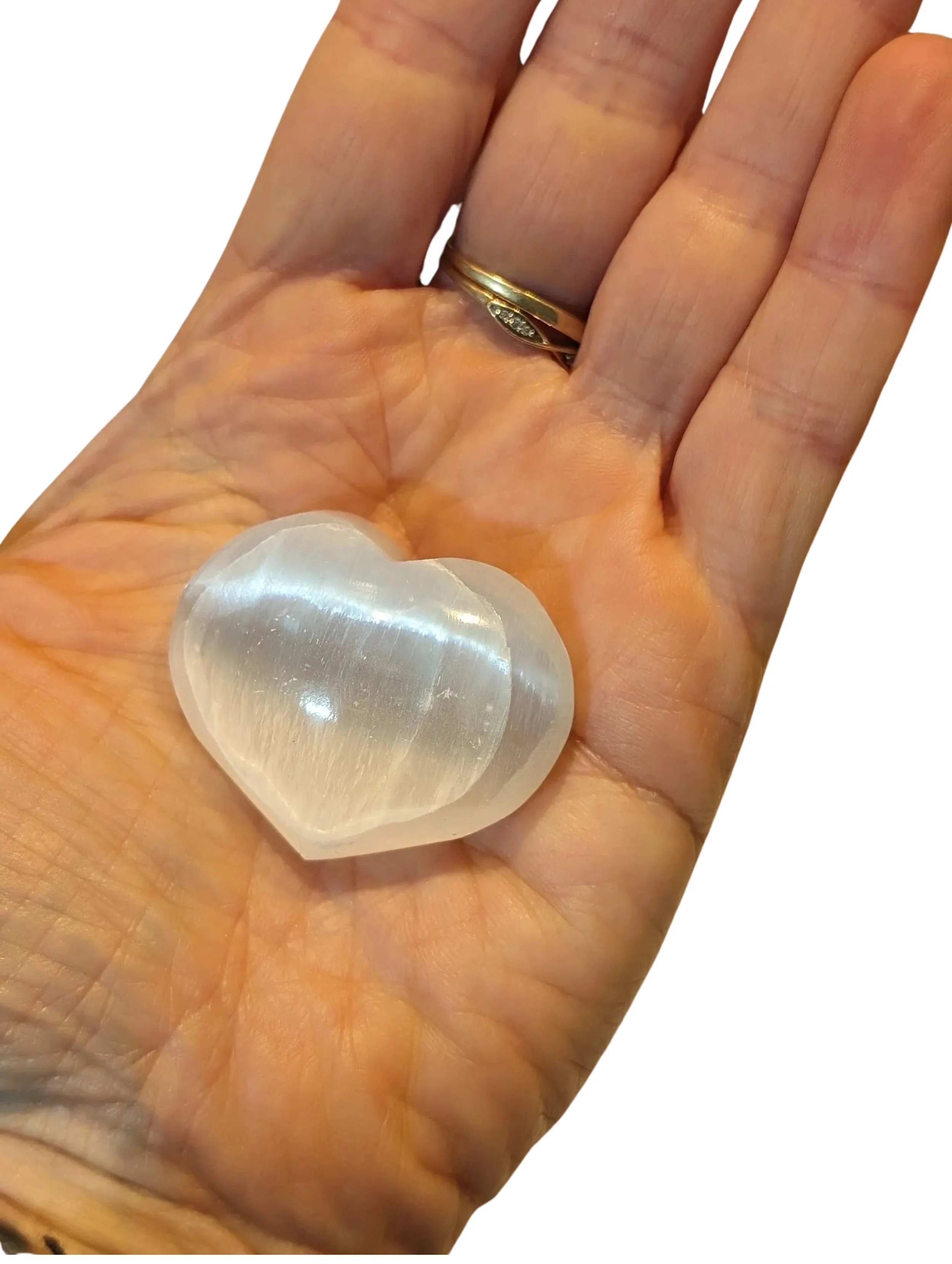 Studio-Project - 2025-12-10T123516.554.jpg