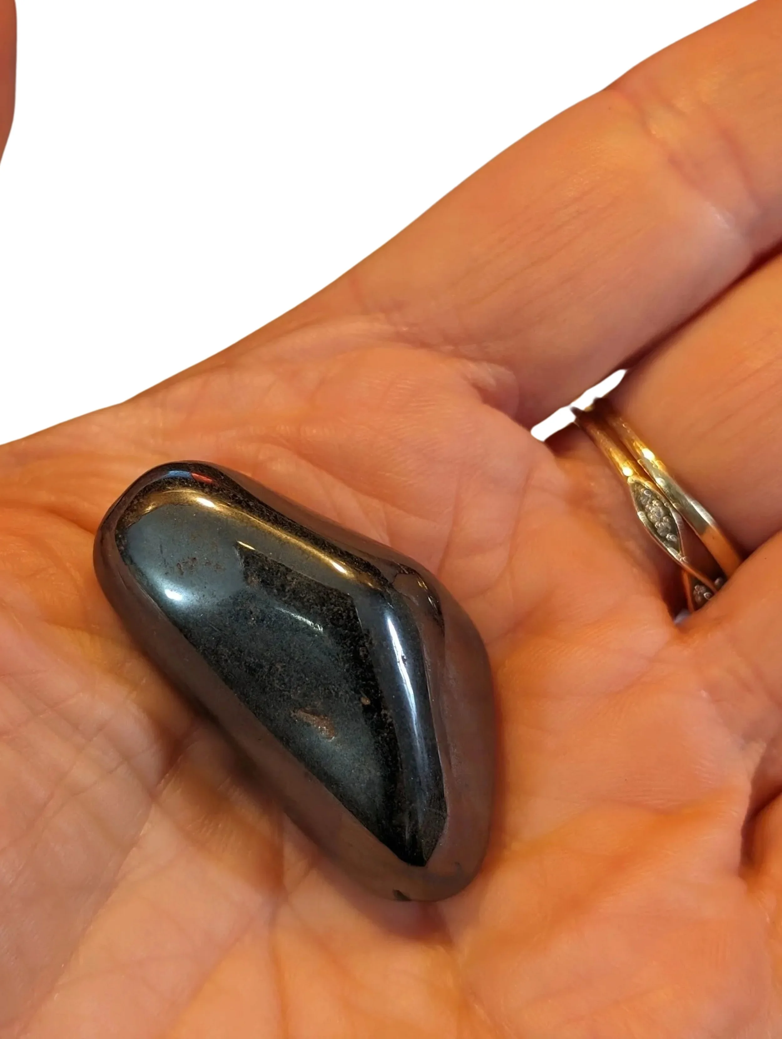 Studio-Project - 2026-01-05T165027.823.jpg