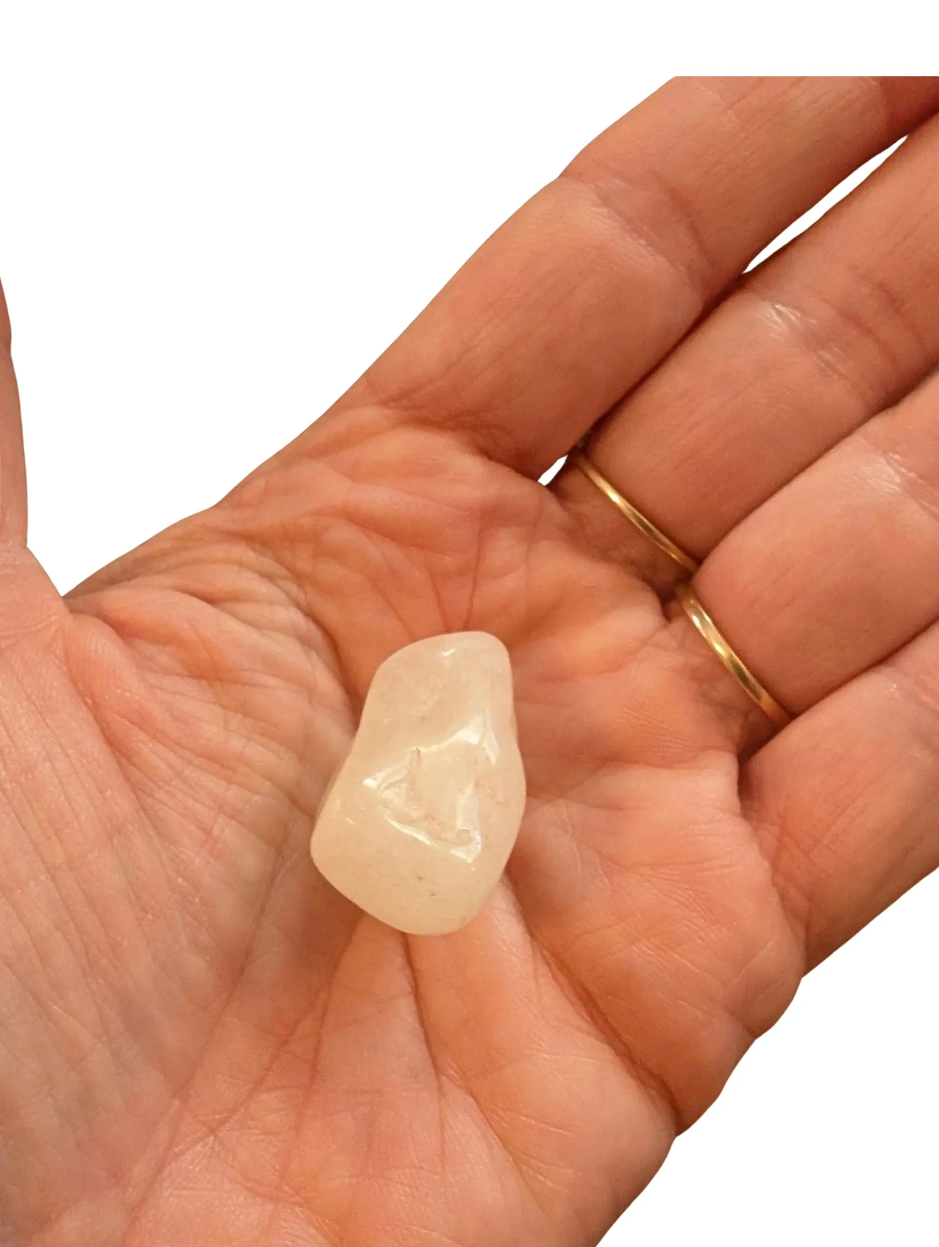 Studio-Project (91).jpg