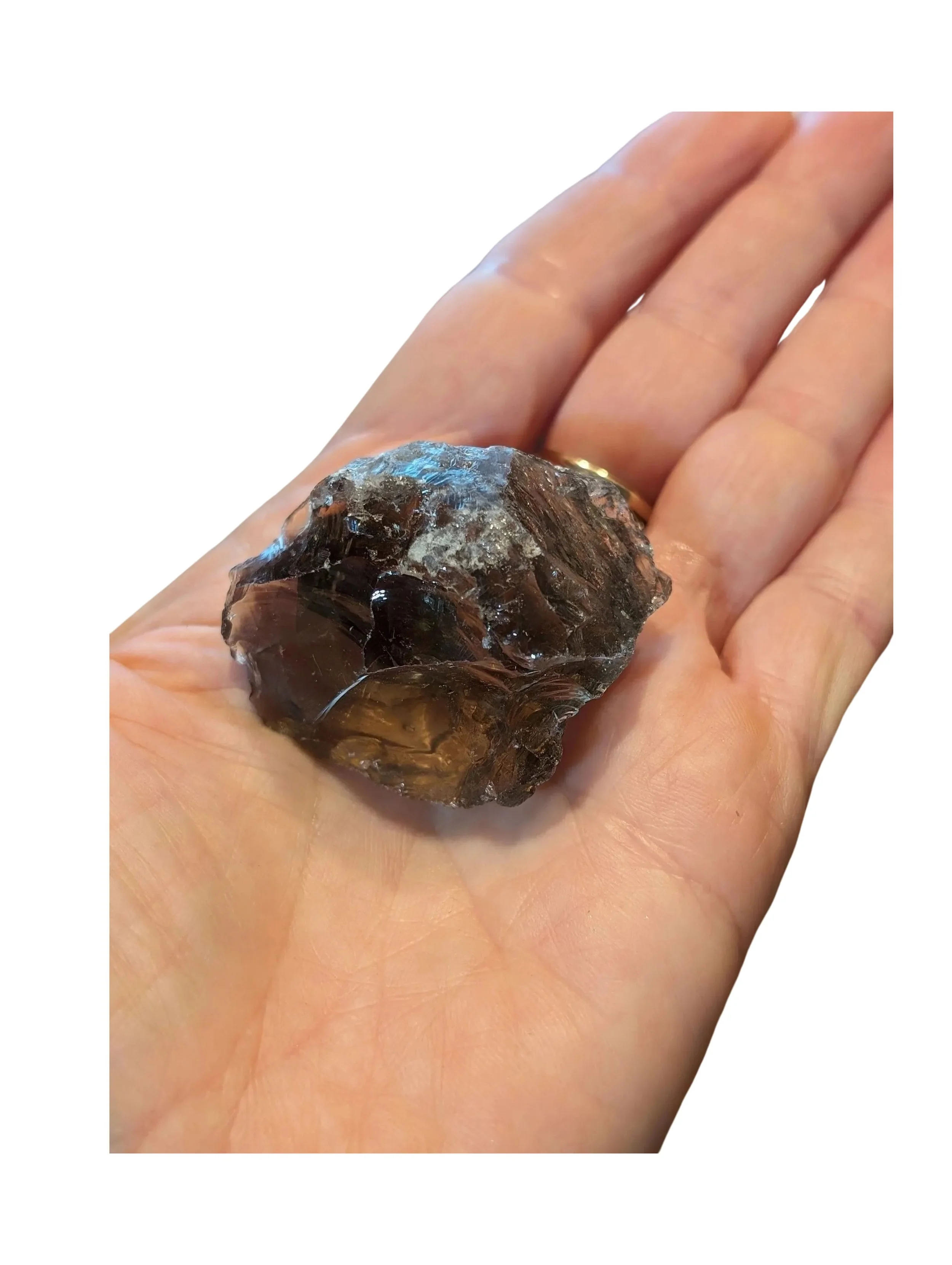 Studio-Project - 2026-01-06T082022.574.jpg