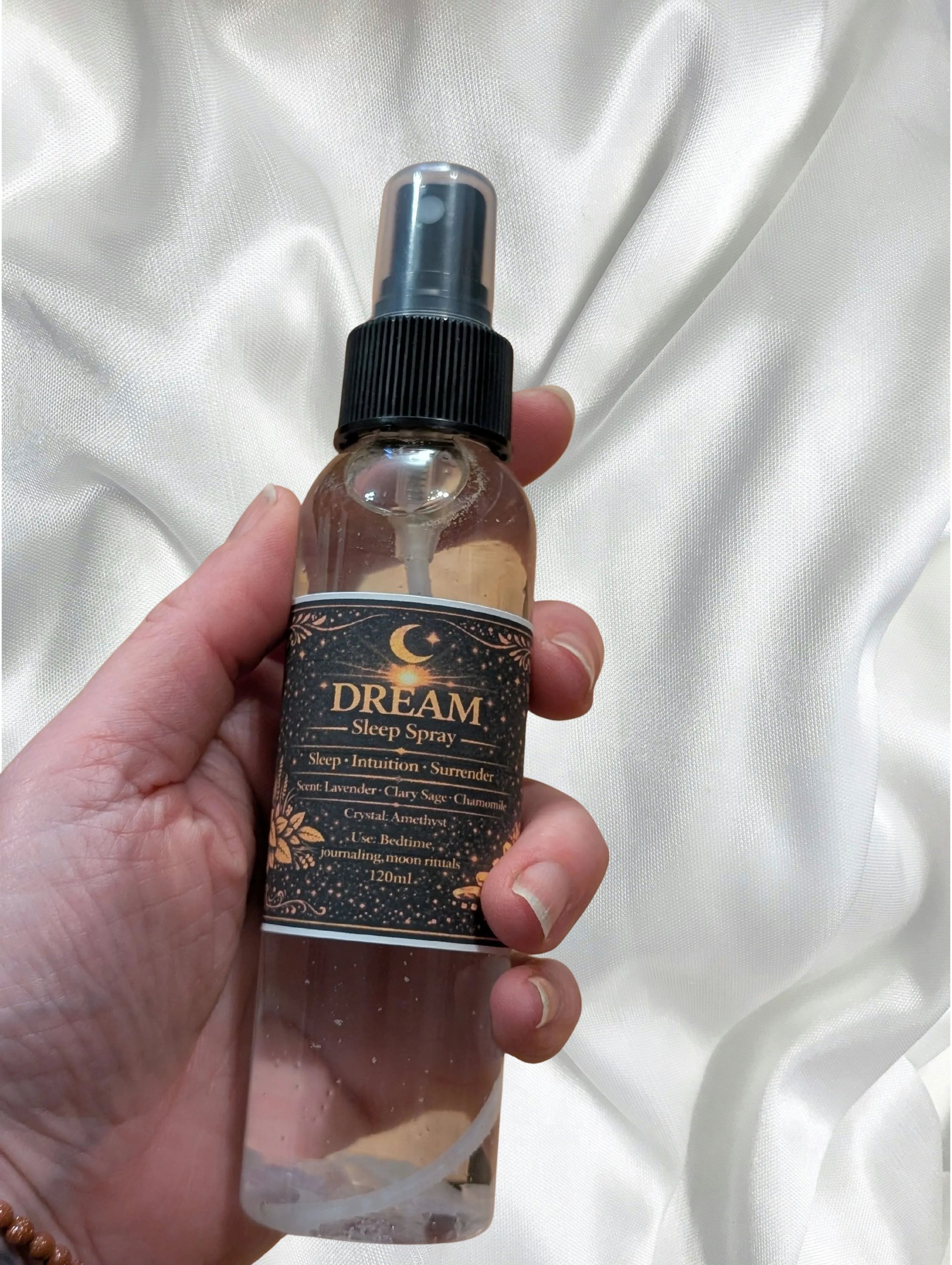 Studio-Project - 2026-02-15T143423.698.jpg