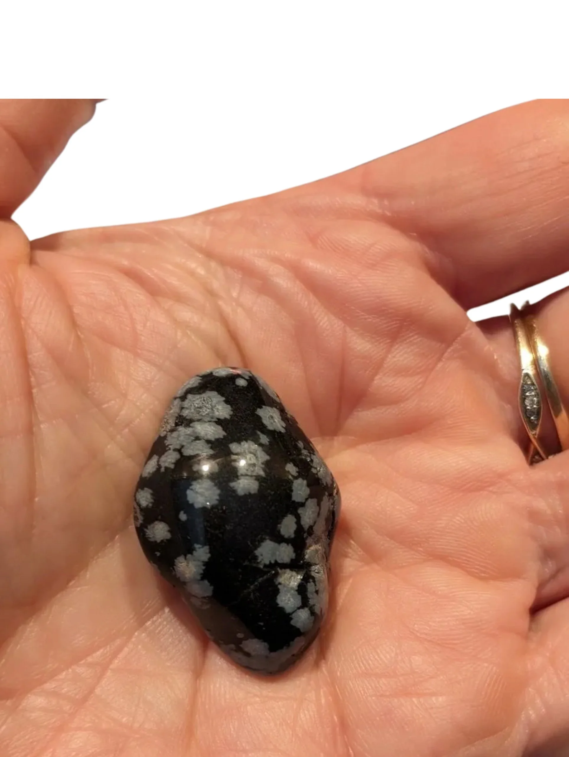 Studio-Project - 2026-01-05T161429.718.jpg