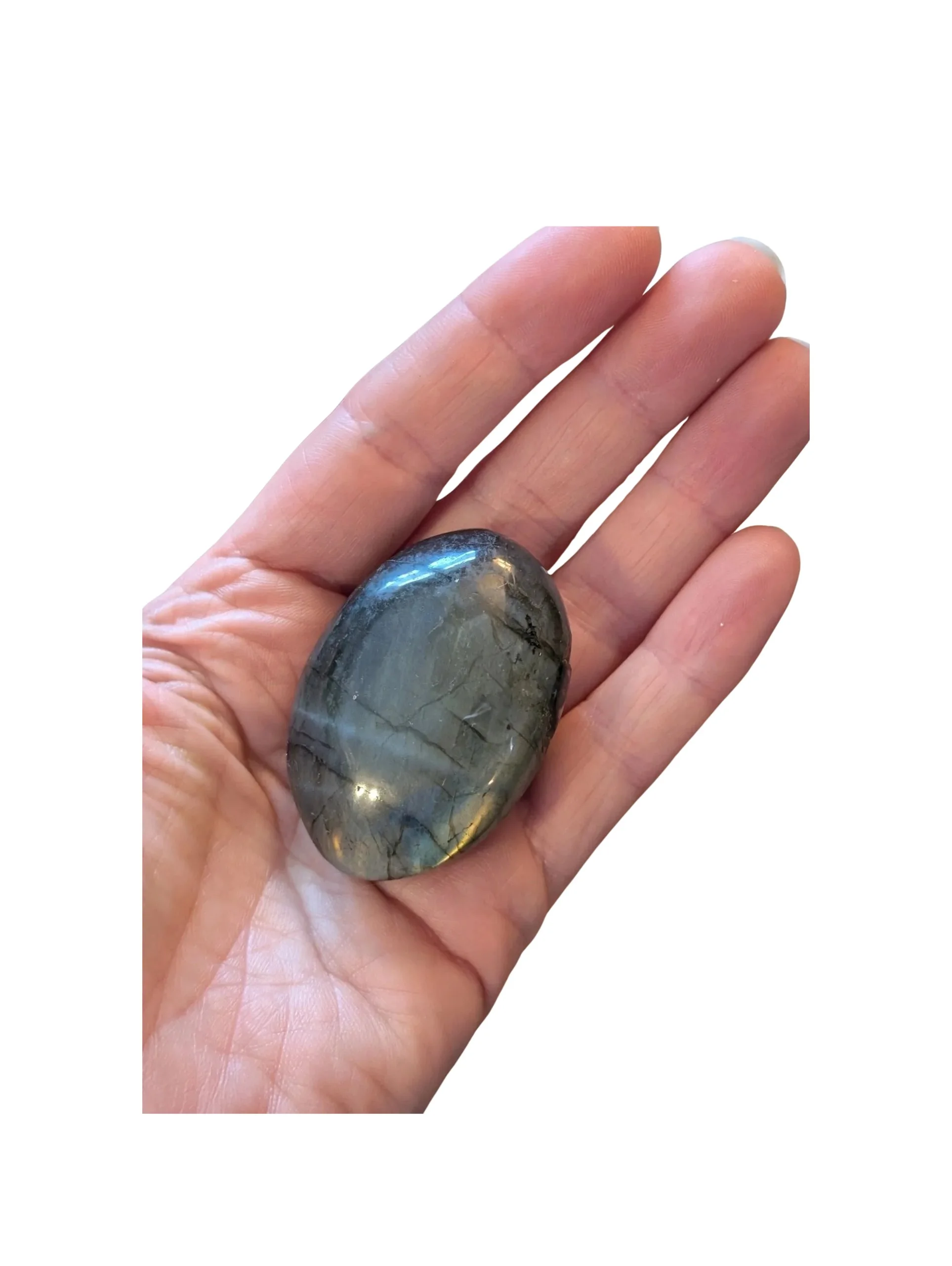 Studio-Project - 2026-01-11T151428.748.jpg