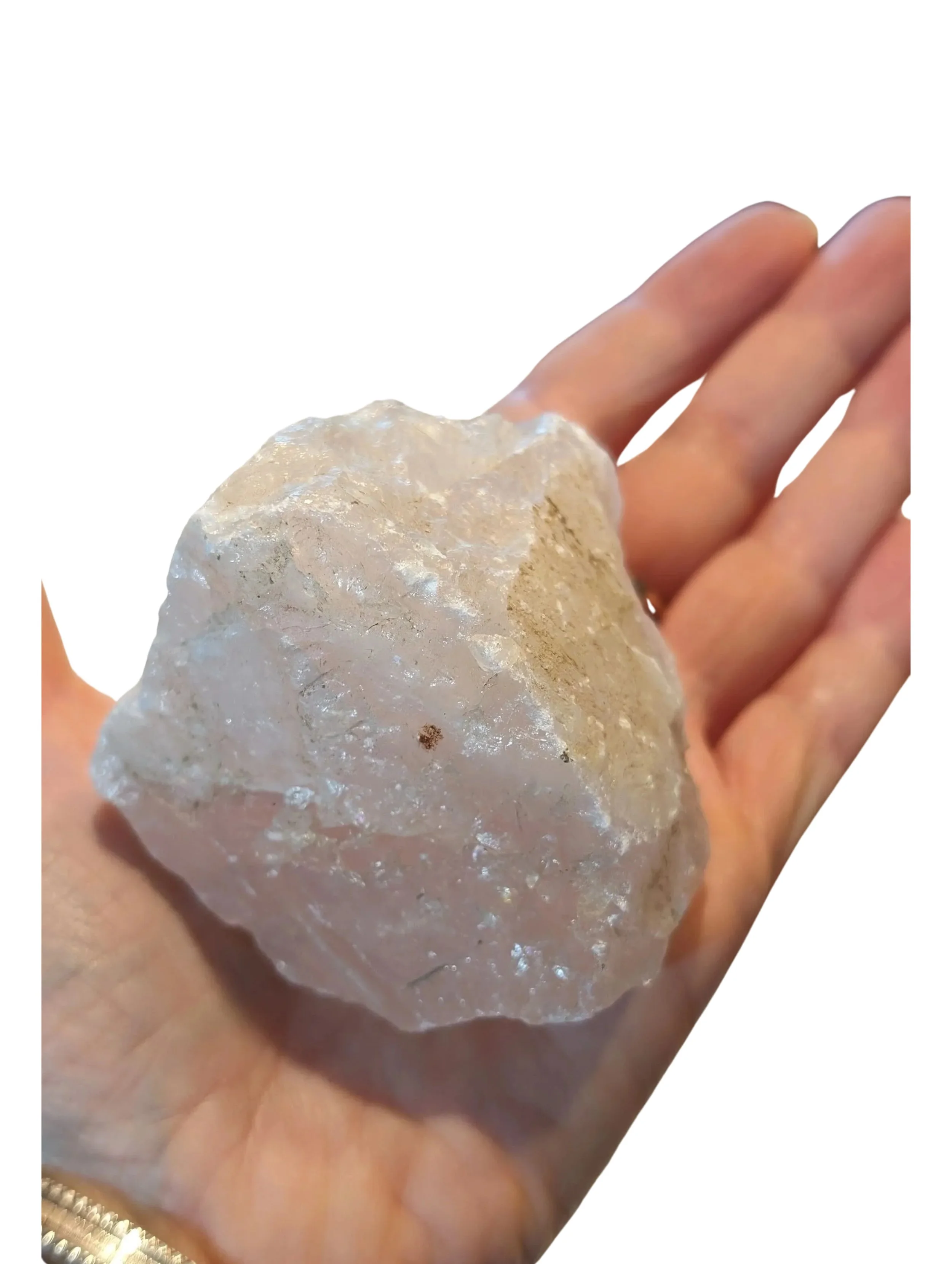 Studio-Project - 2026-01-06T080939.307.jpg