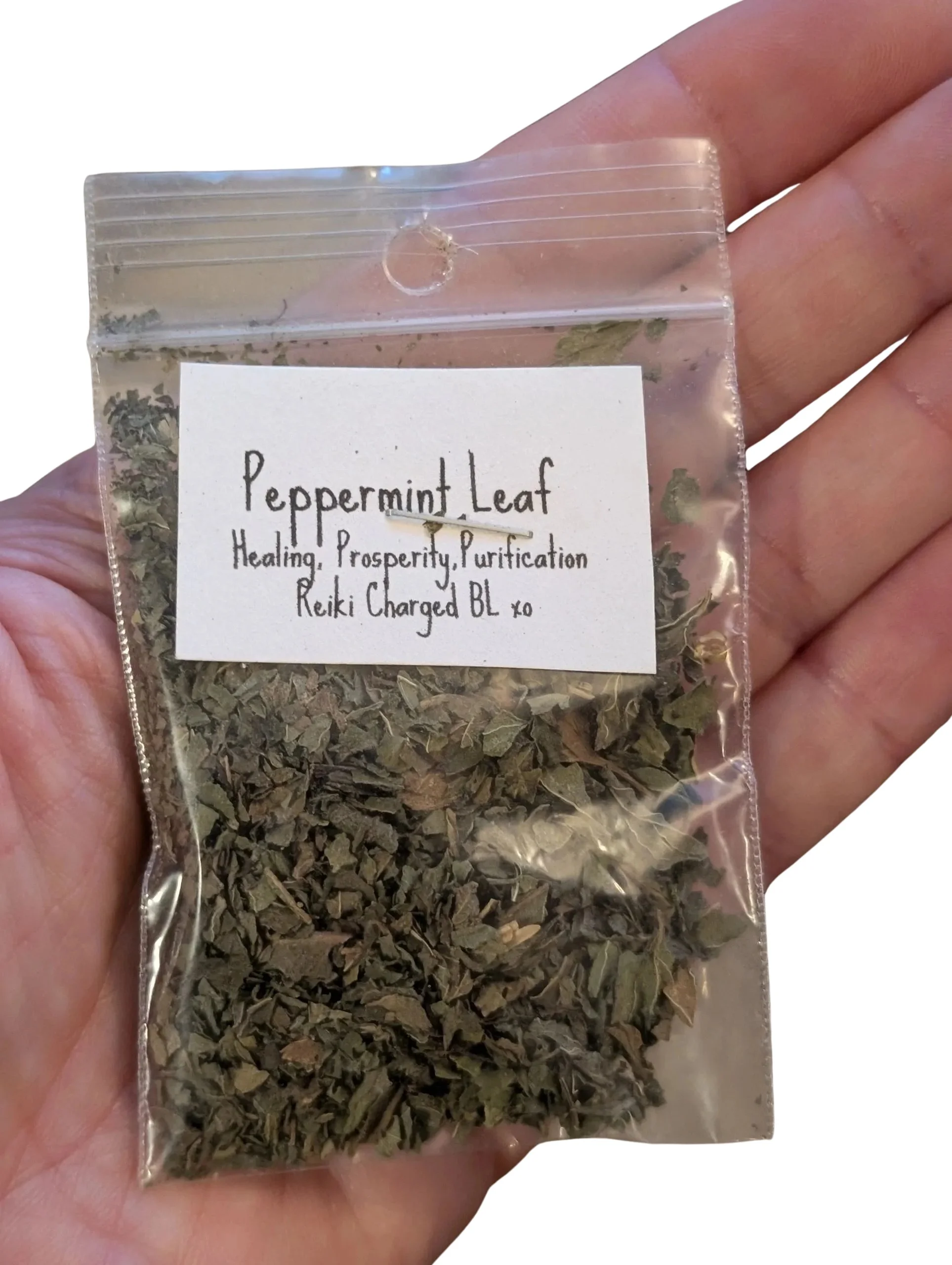 Studio-Project - 2026-01-09T055232.205.jpg