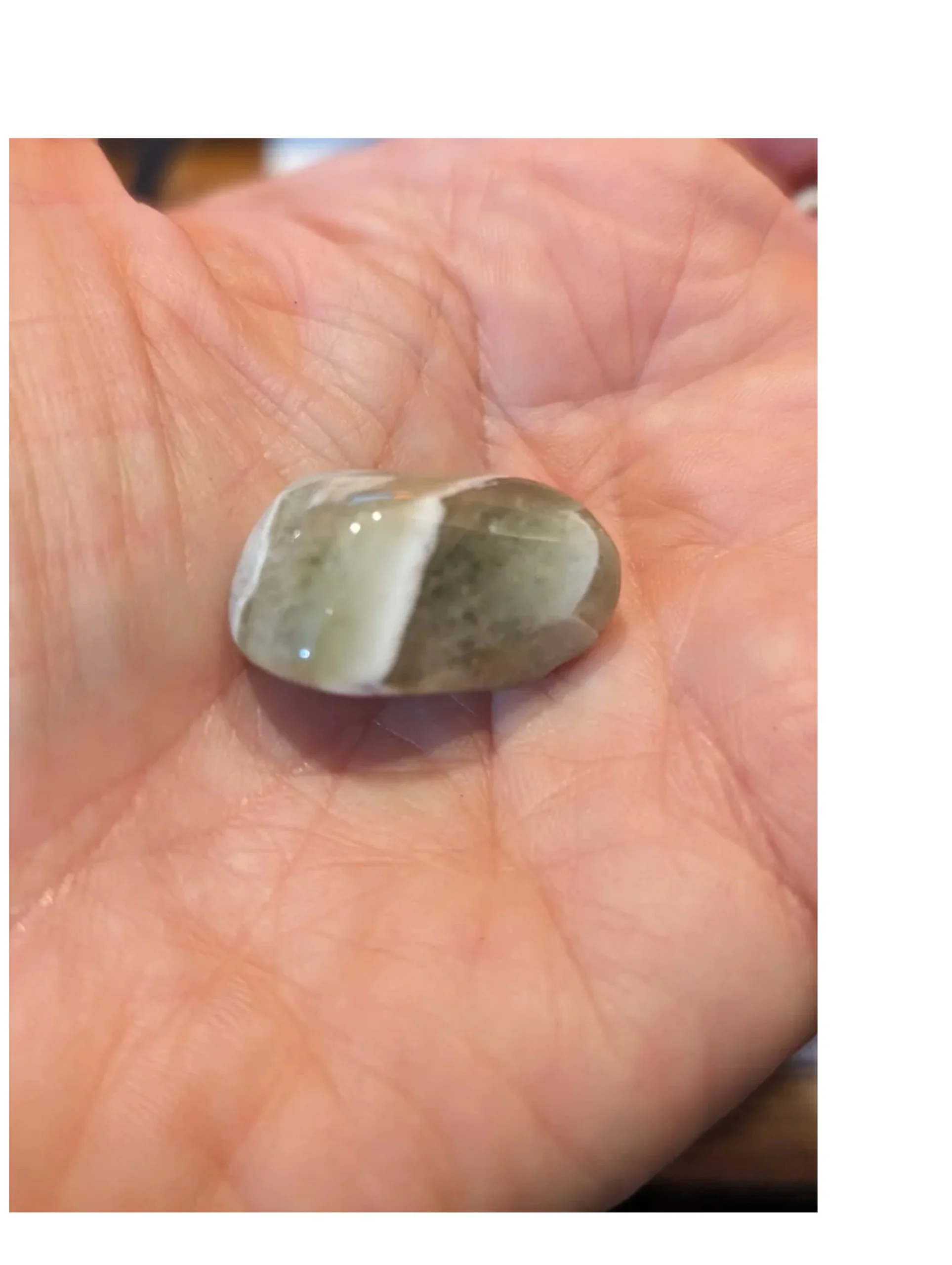 Studio-Project - 2025-12-07T122015.814.jpg