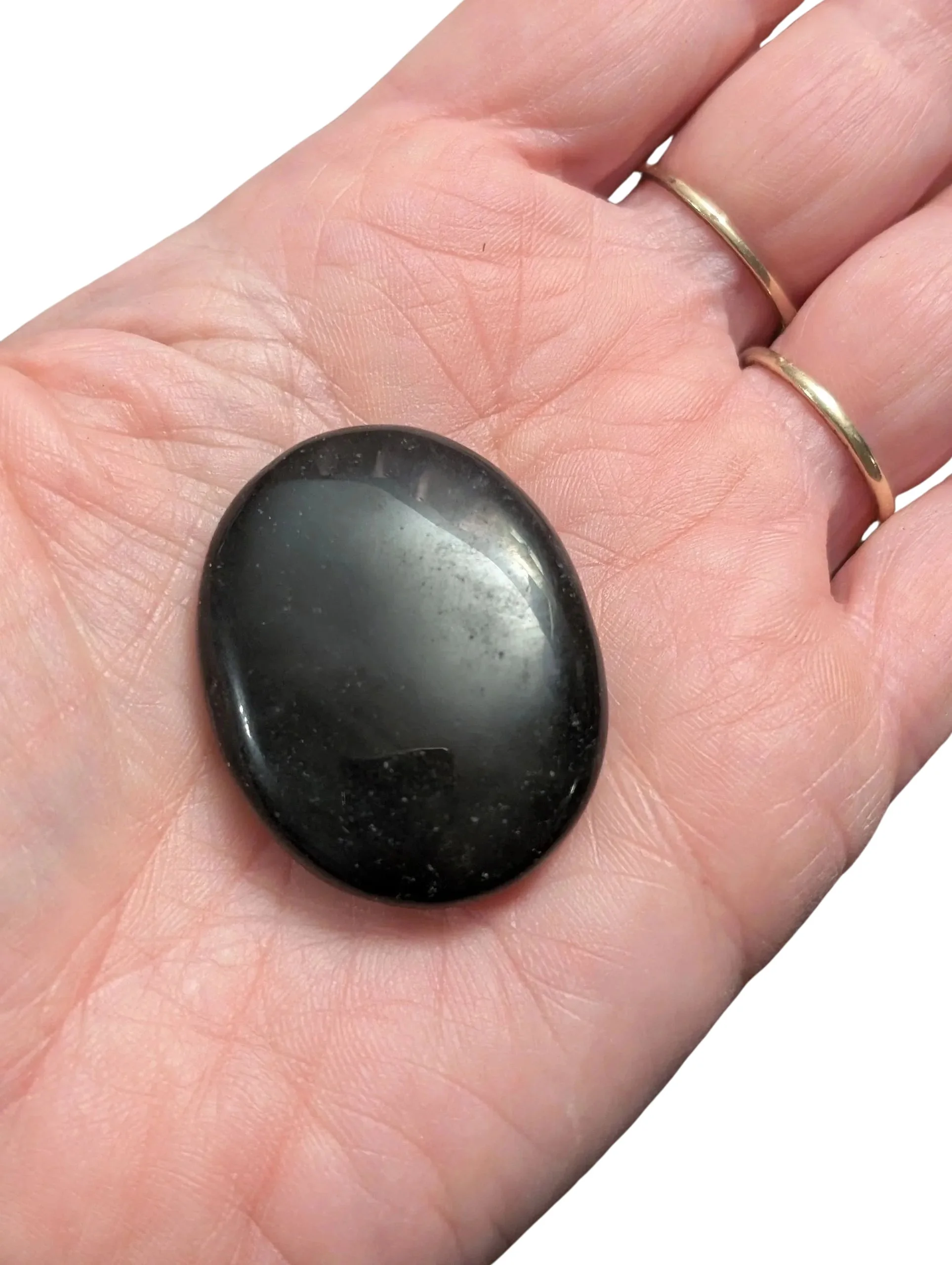 Studio-Project - 2026-01-13T071453.906.jpg