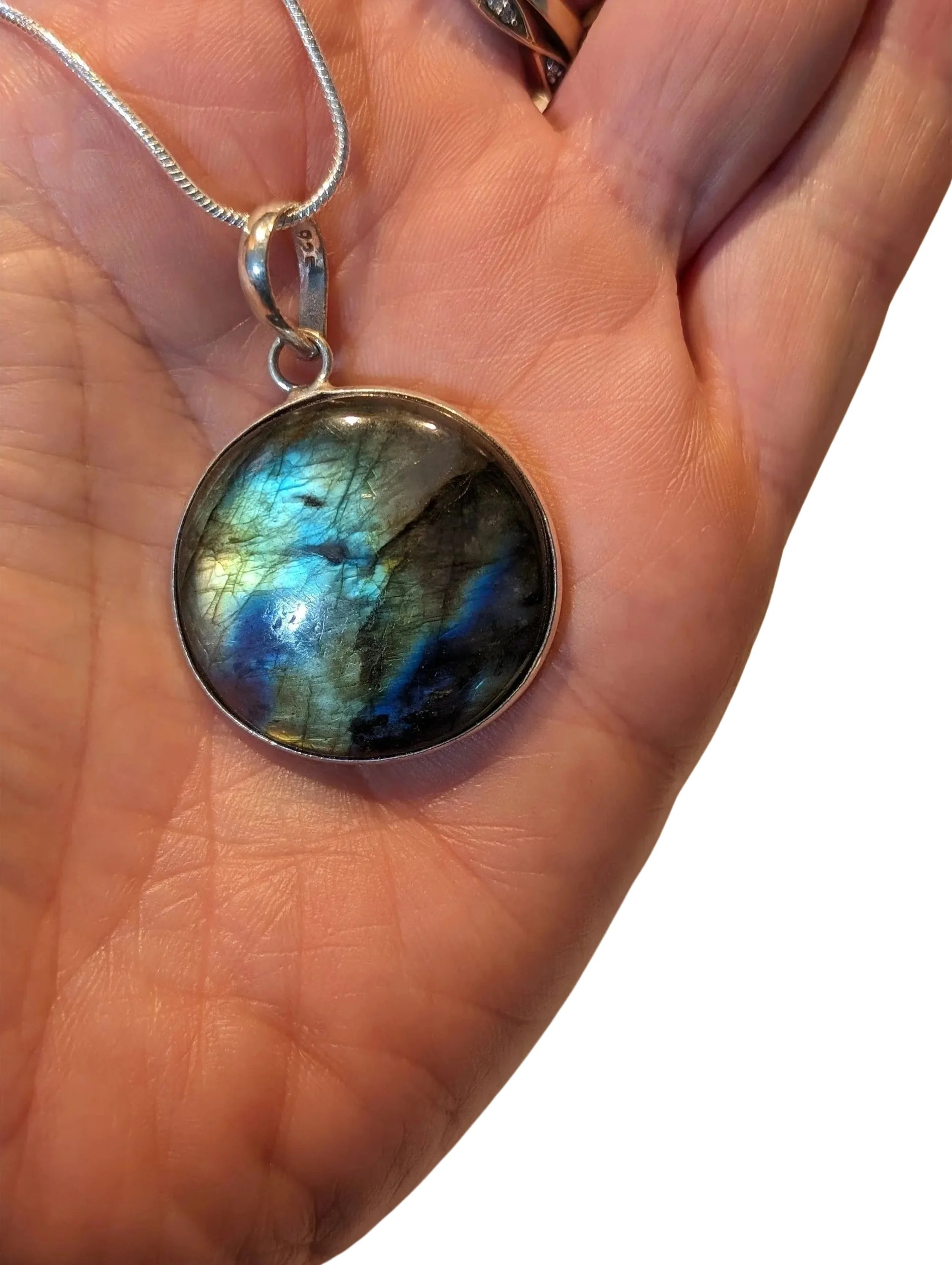 Studio-Project - 2026-01-20T145452.386.jpg