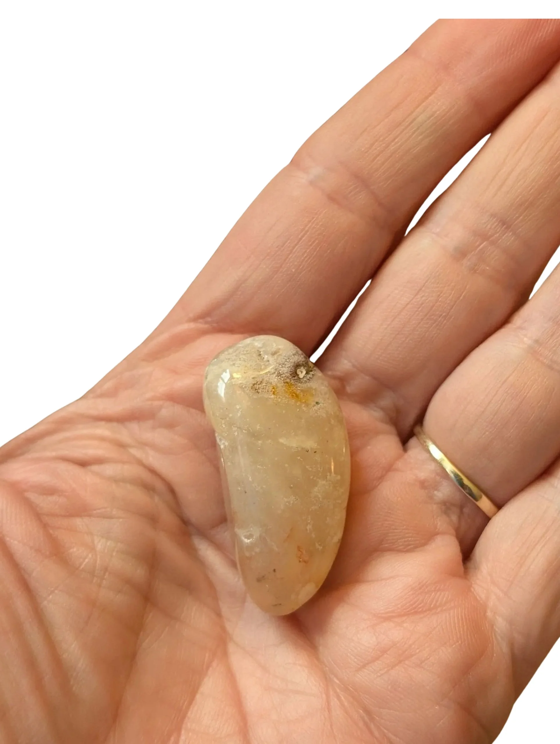 Studio-Project (95).jpg