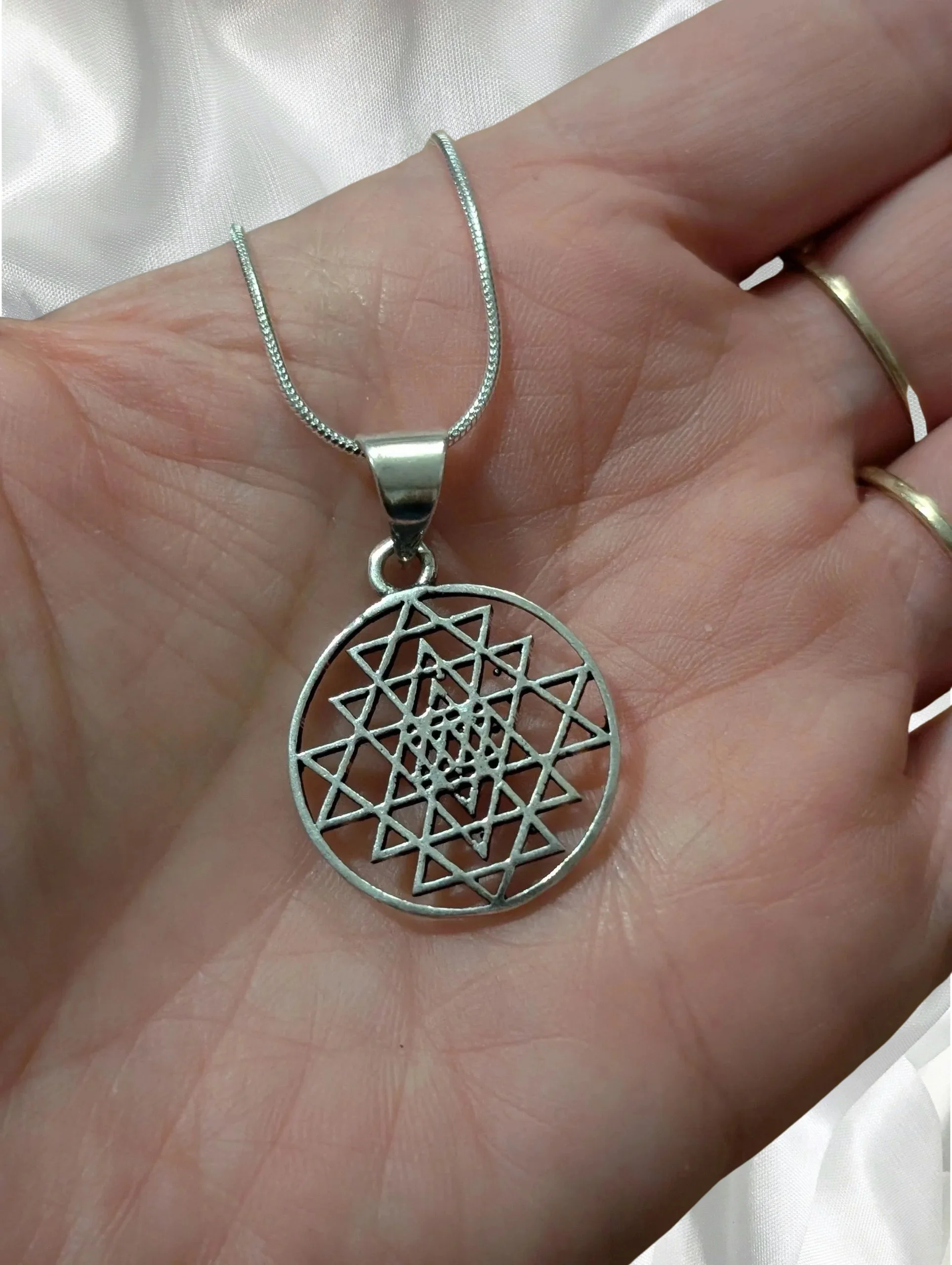 Studio-Project - 2026-02-21T131847.535.jpg