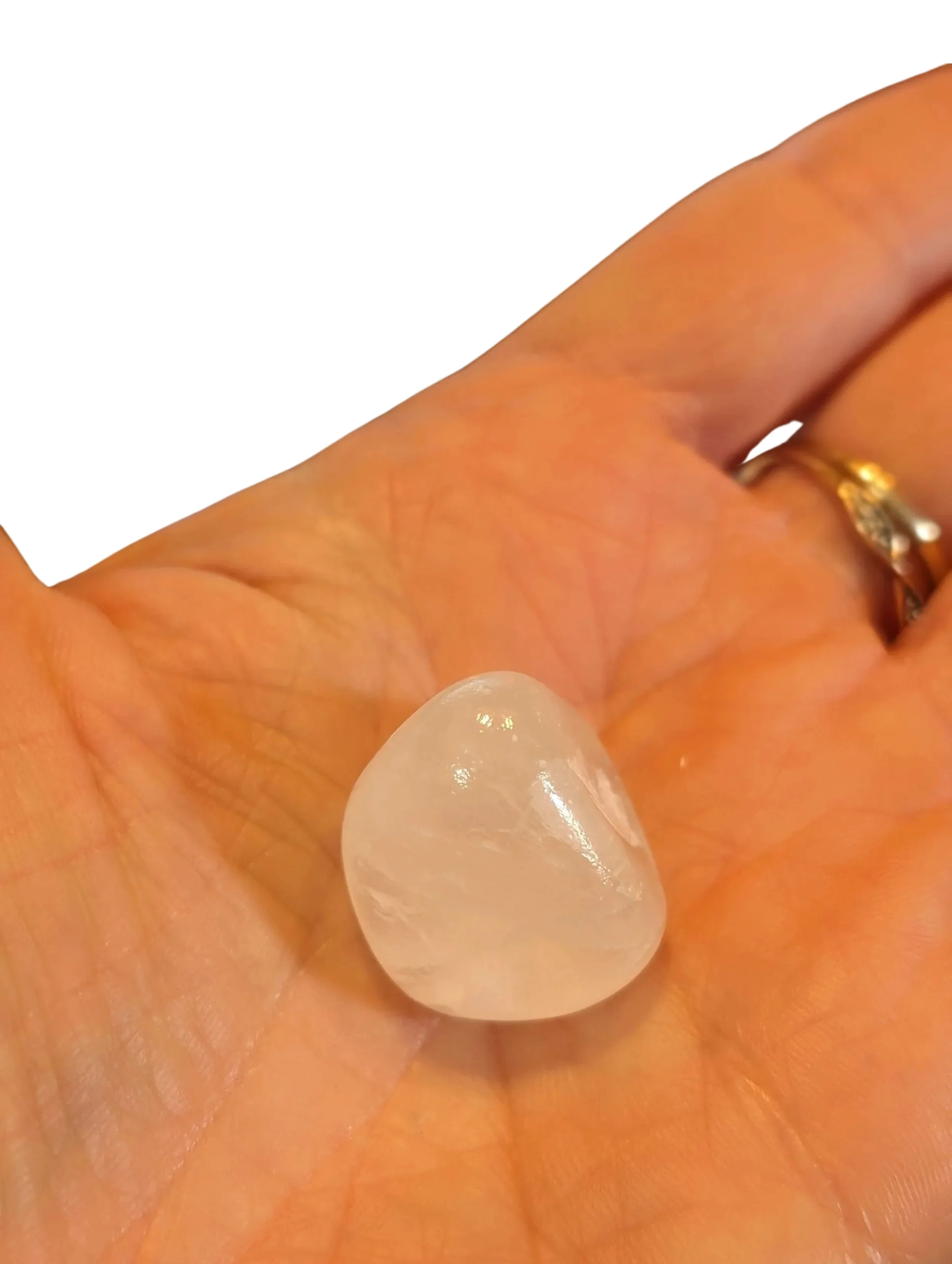 Studio-Project - 2026-01-05T171538.002.jpg