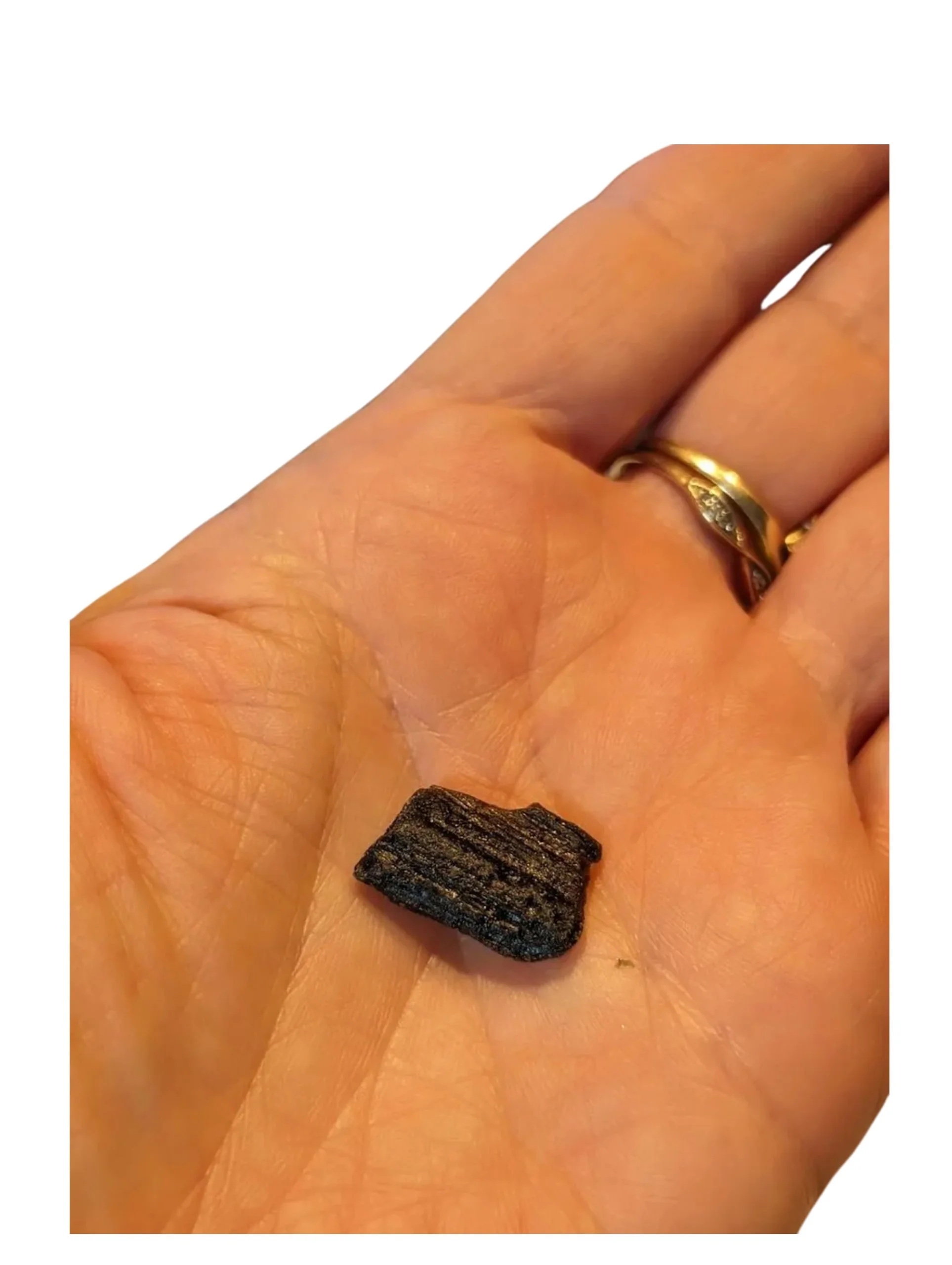 Studio-Project - 2026-01-06T083228.448.jpg