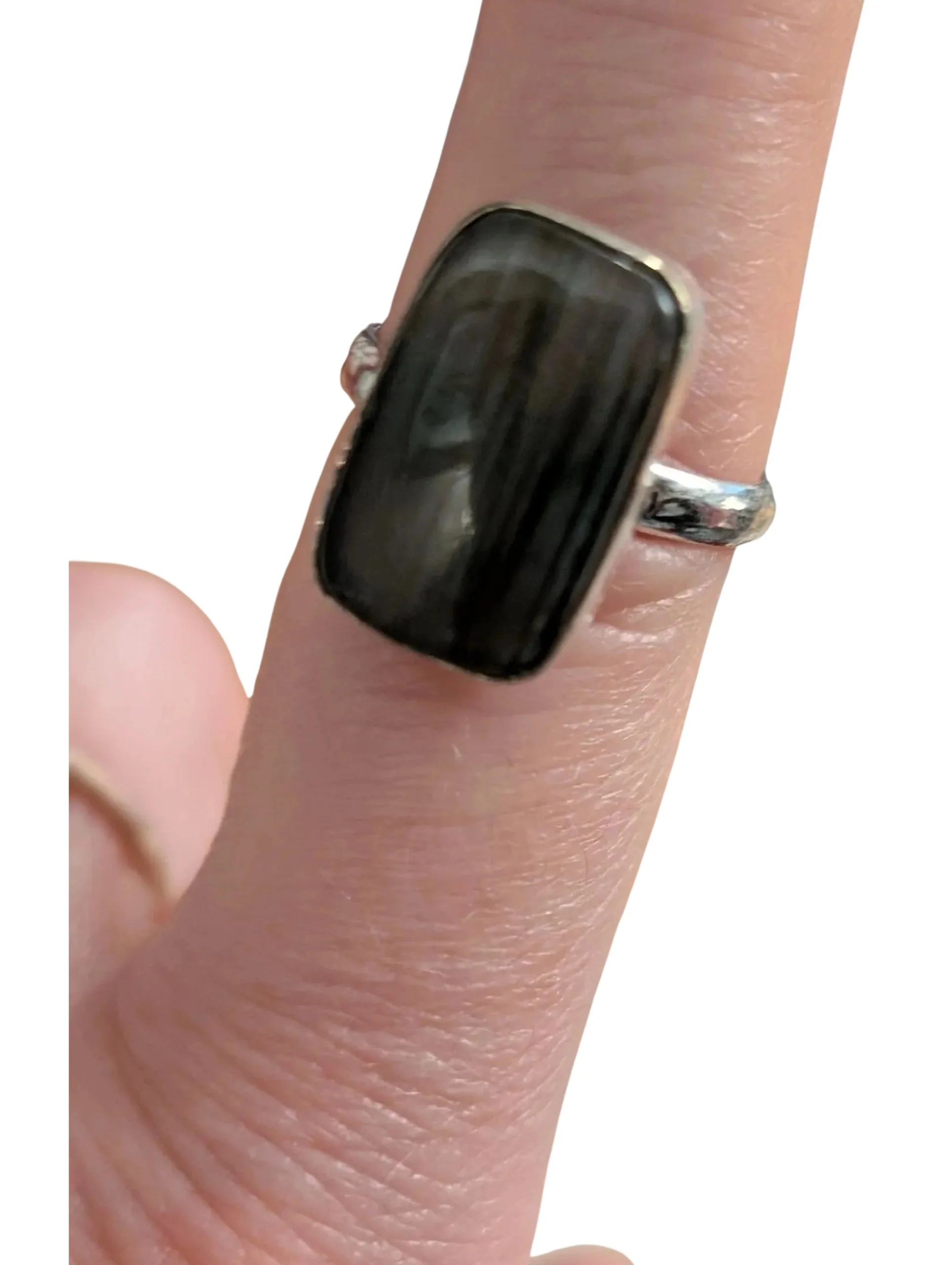 Studio-Project - 2026-02-01T063716.841.jpg