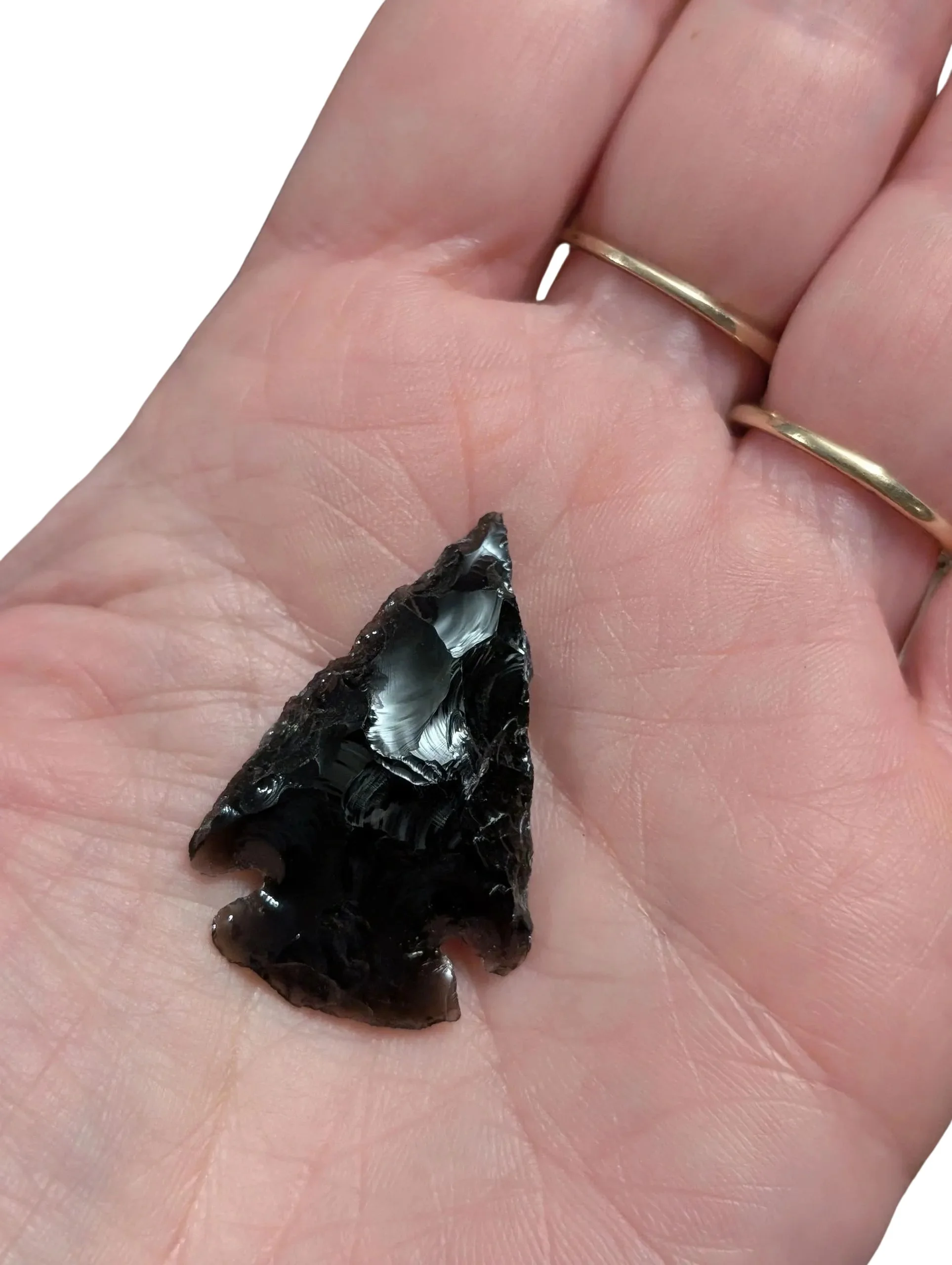 Studio-Project - 2026-01-13T060441.542.jpg