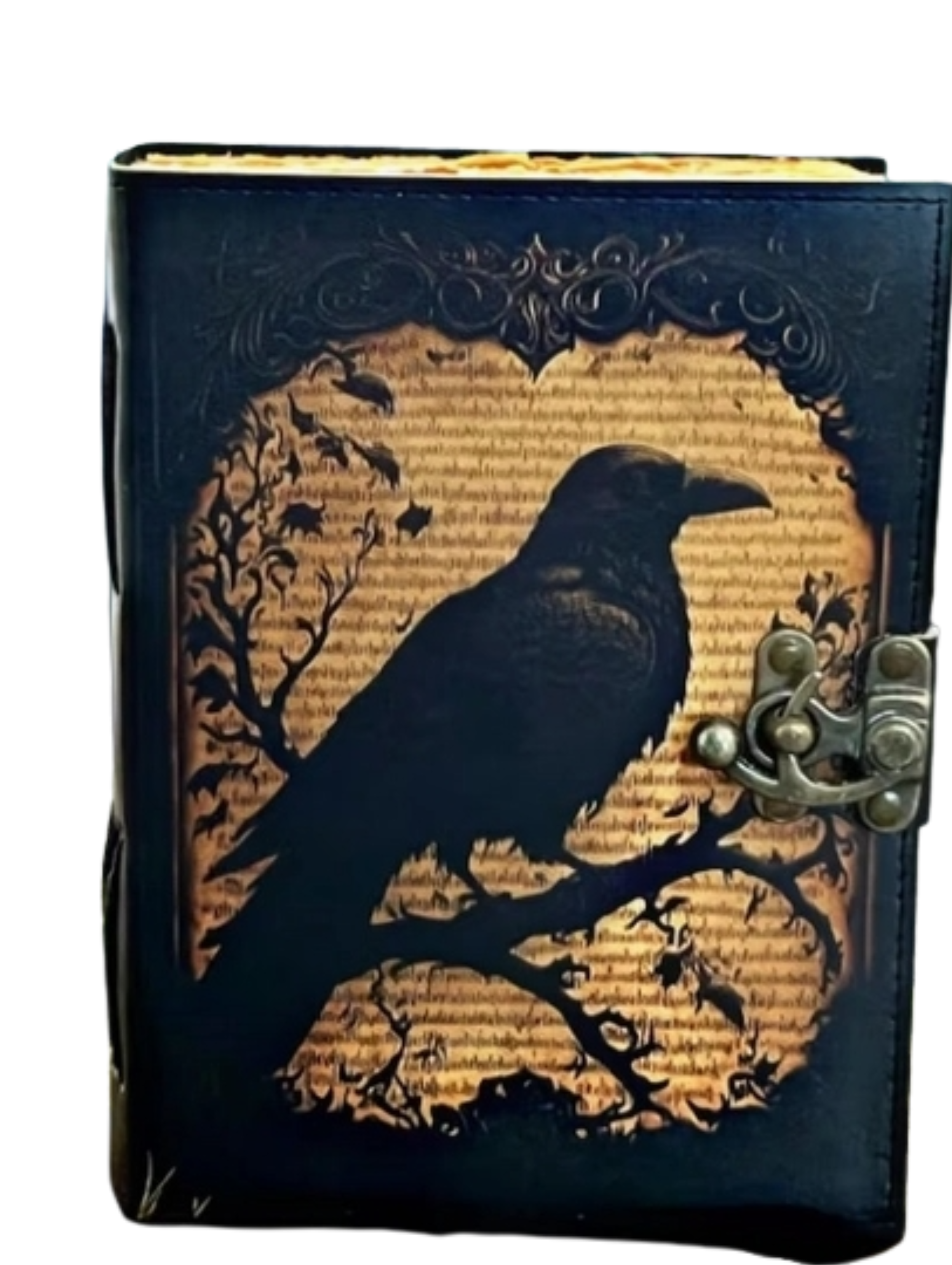 Untitled design (24).png