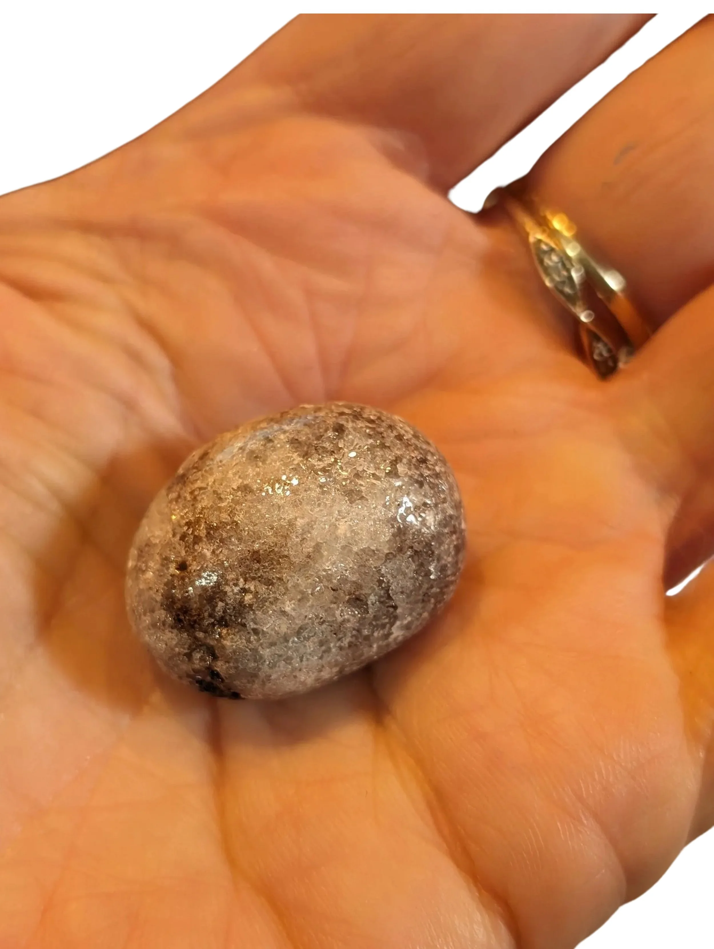 Studio-Project - 2025-12-10T113759.969.jpg