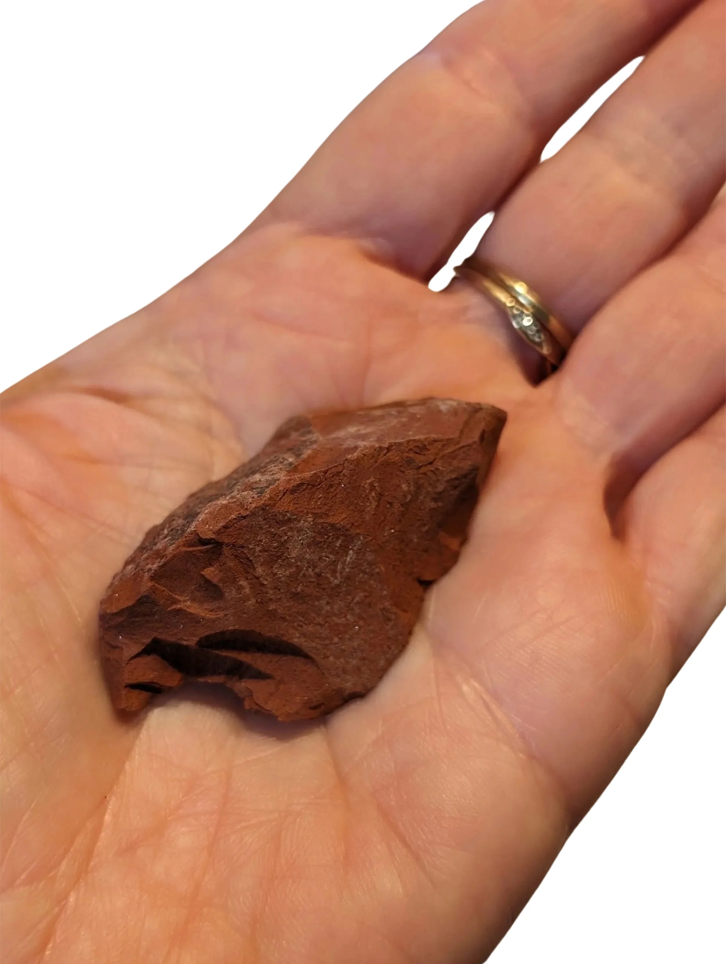 Studio-Project - 2025-12-10T110317.108.jpg