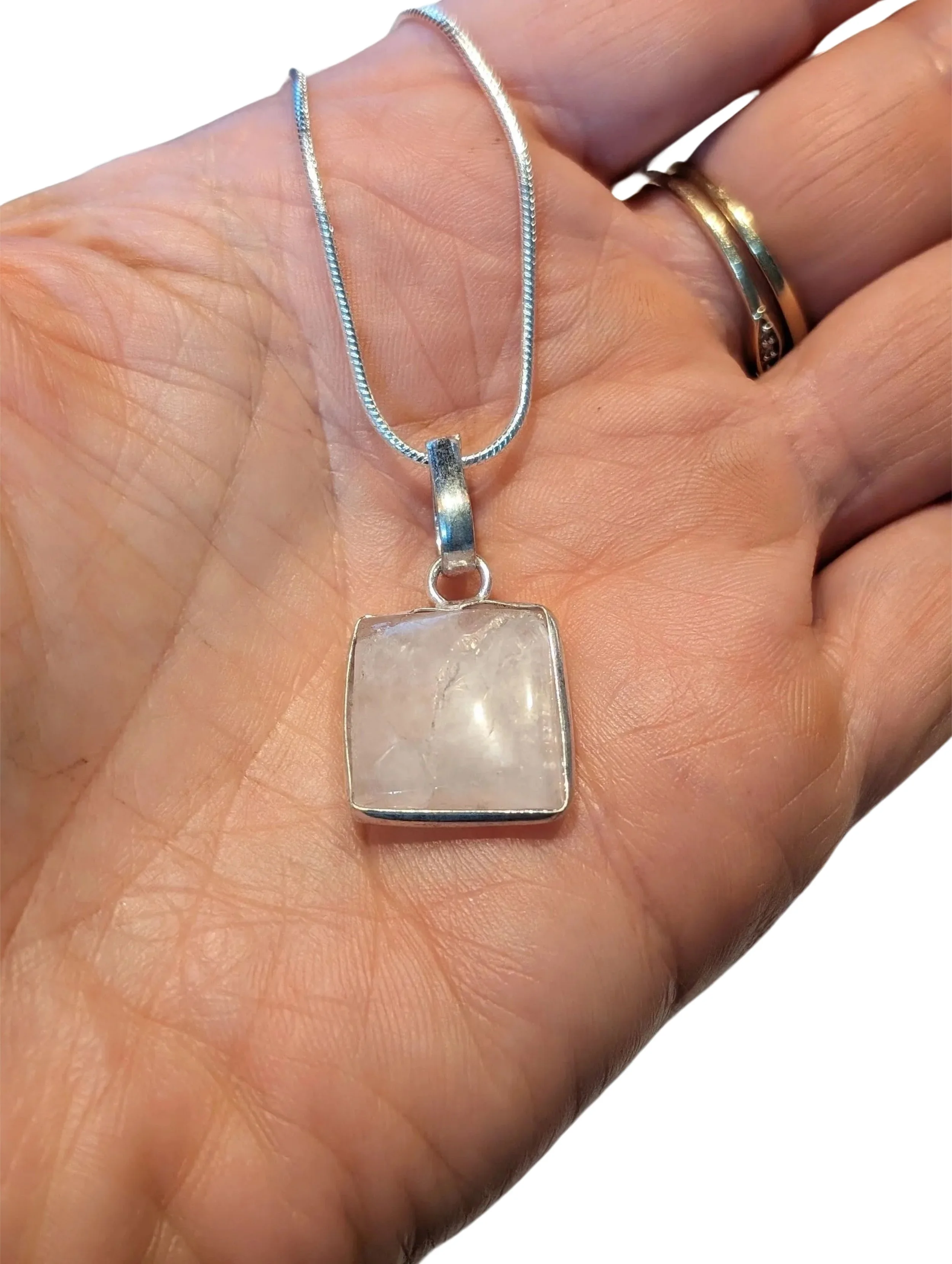 Studio-Project - 2026-01-20T134951.222.jpg