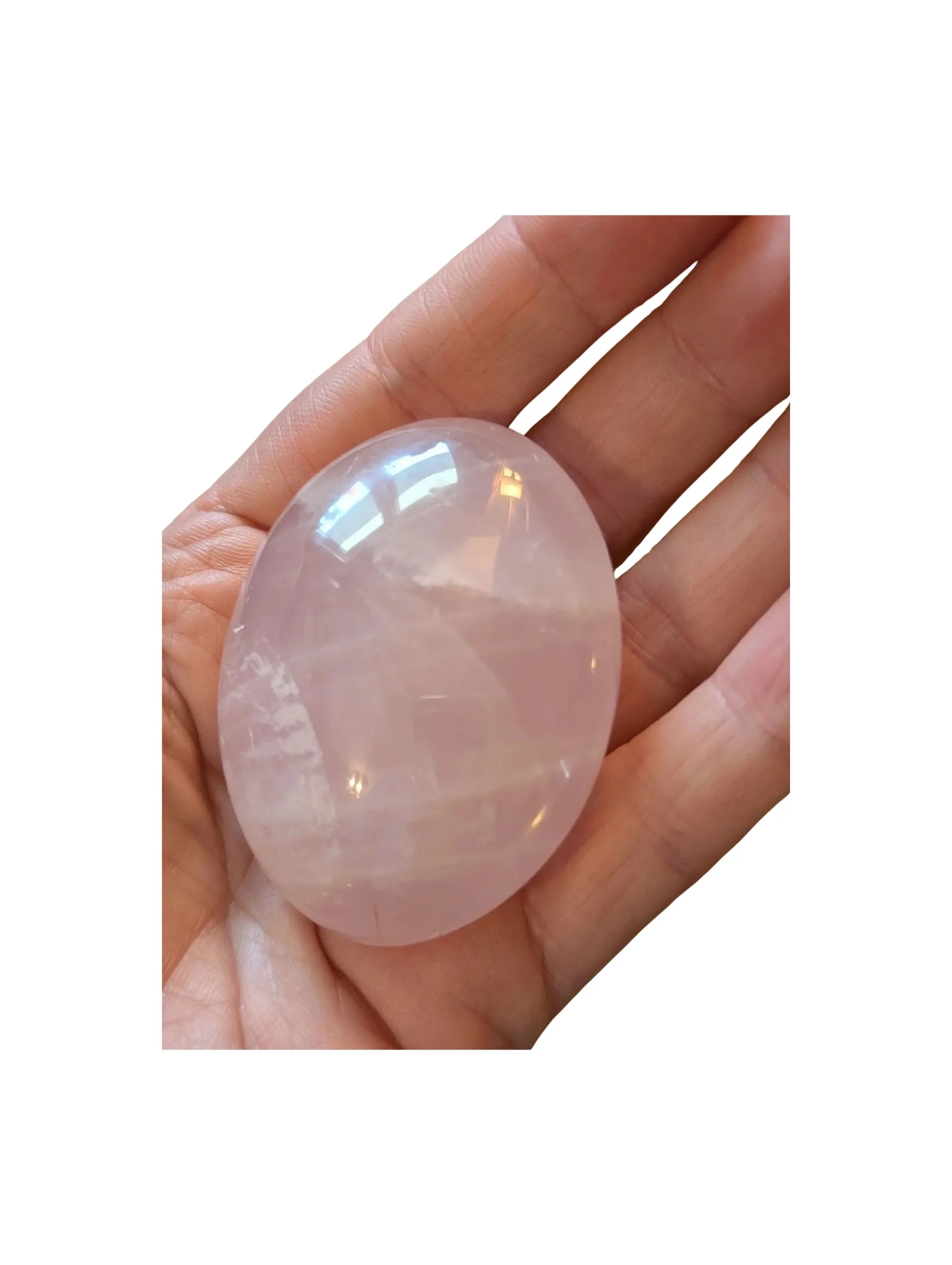 Studio-Project - 2026-01-11T151833.809.jpg